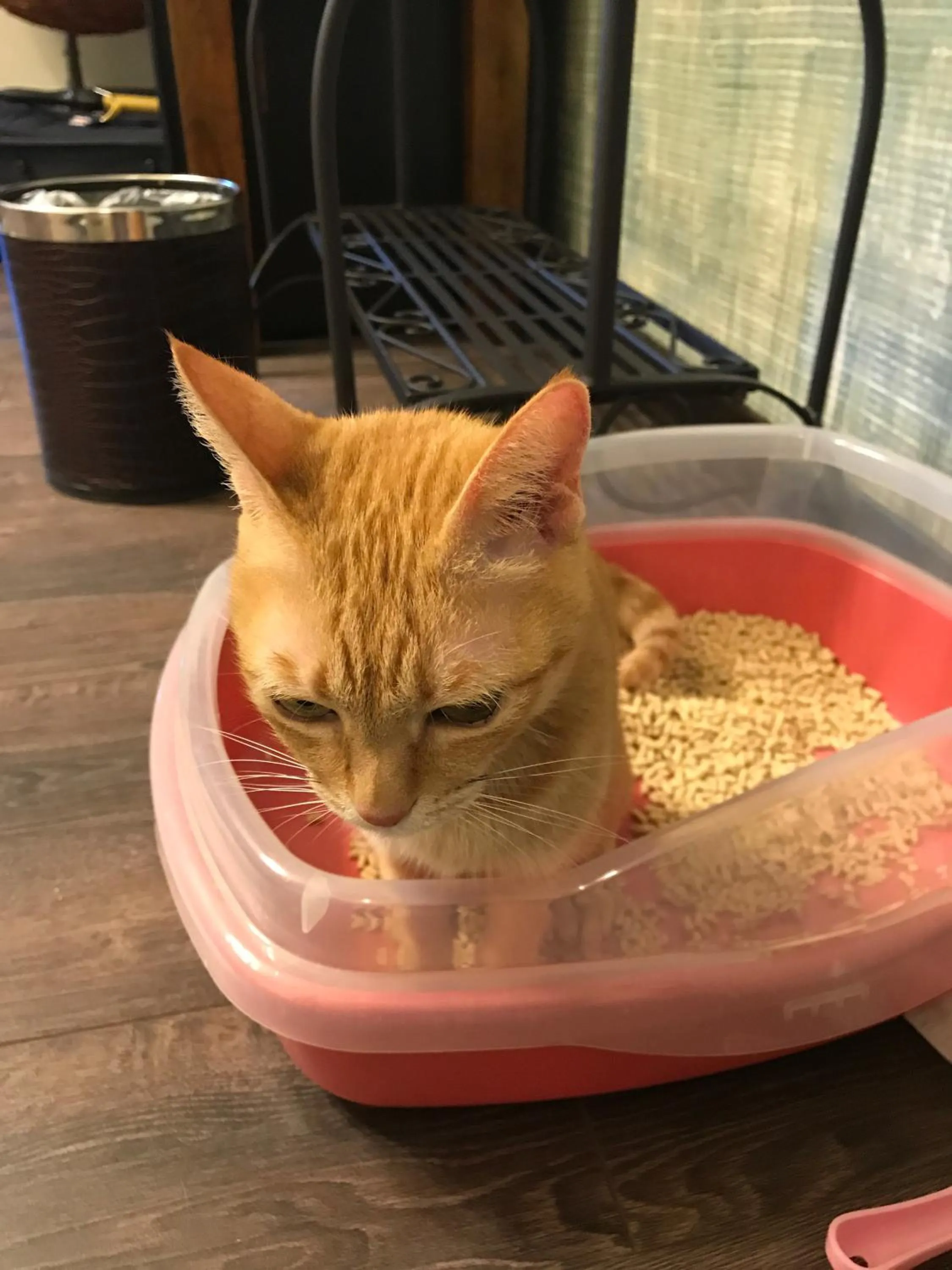 Aria 2 Home (With Elevator)