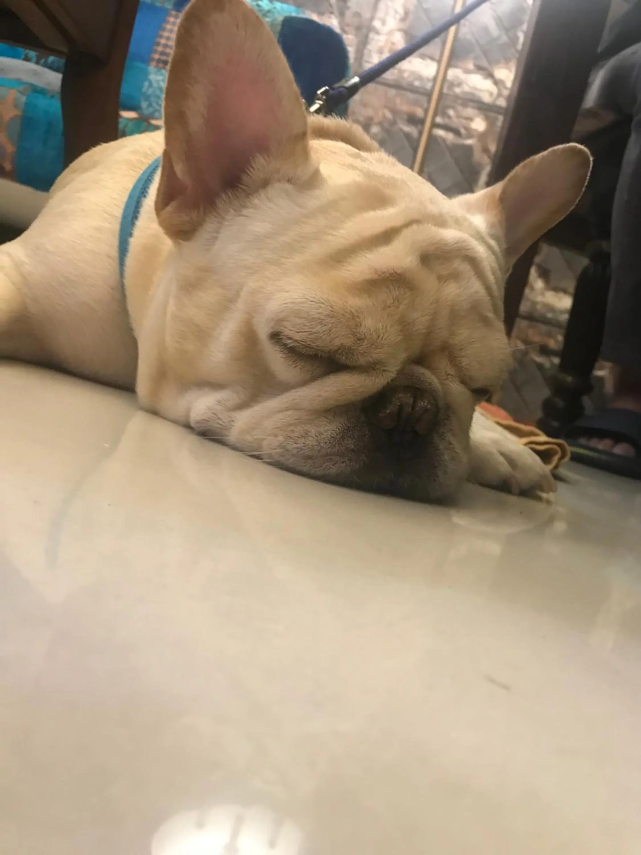 Aria 2 Home (With Elevator)