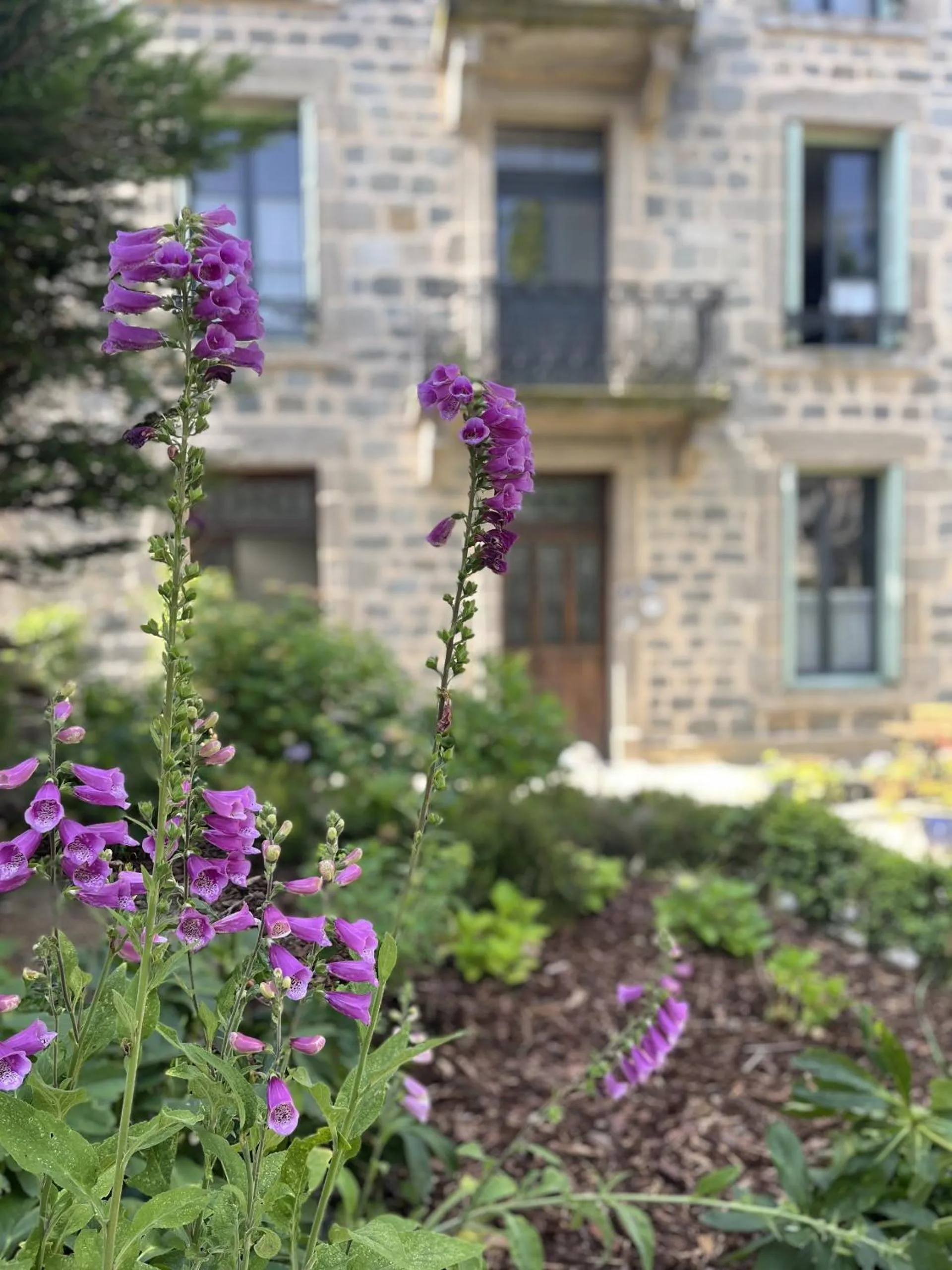 Property building in La Maison de famille