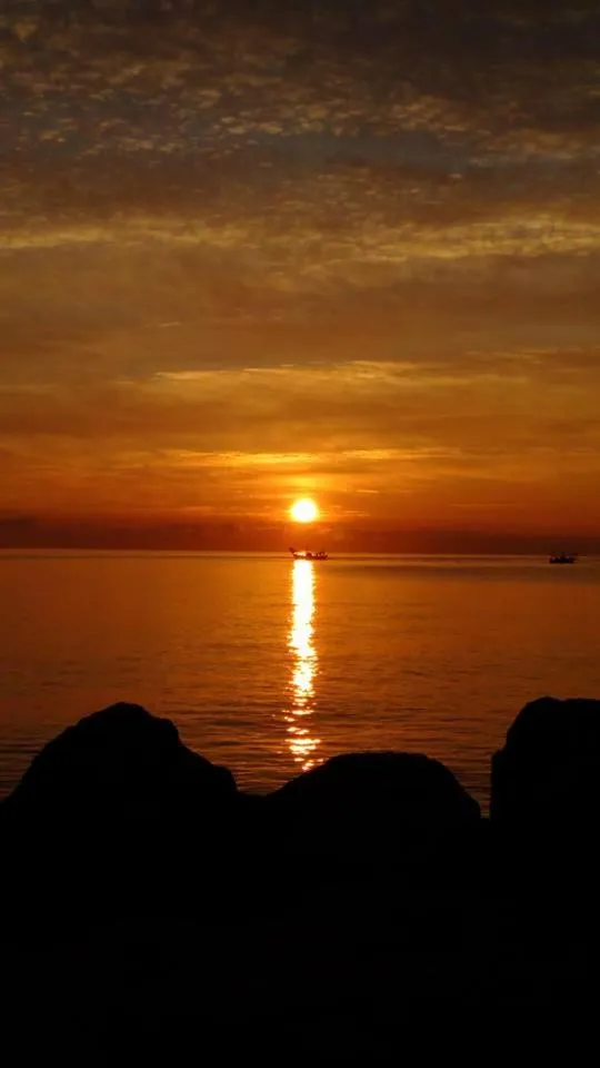 Albergo Girasole Frontemare