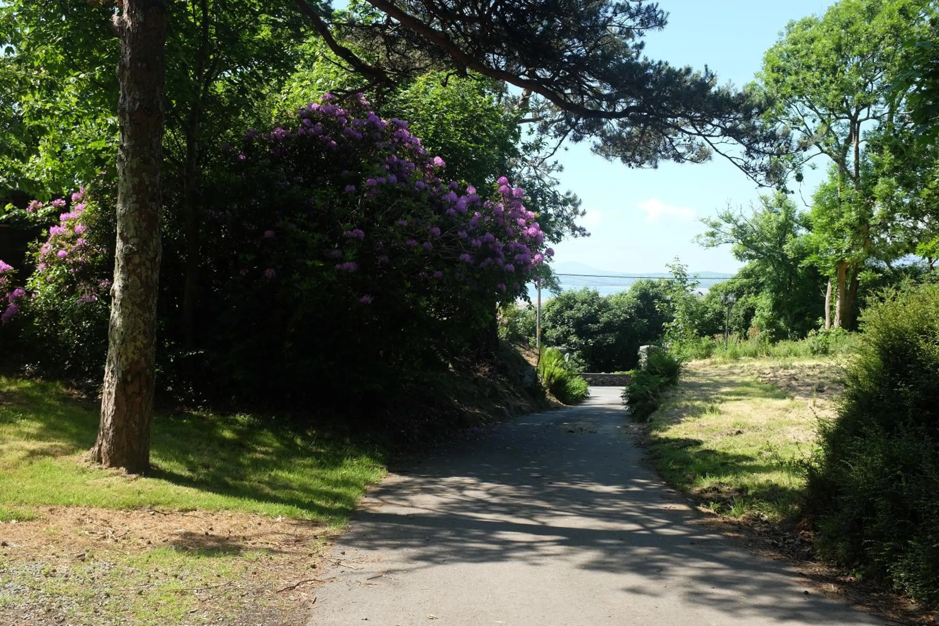 Garden in Crown Lodge