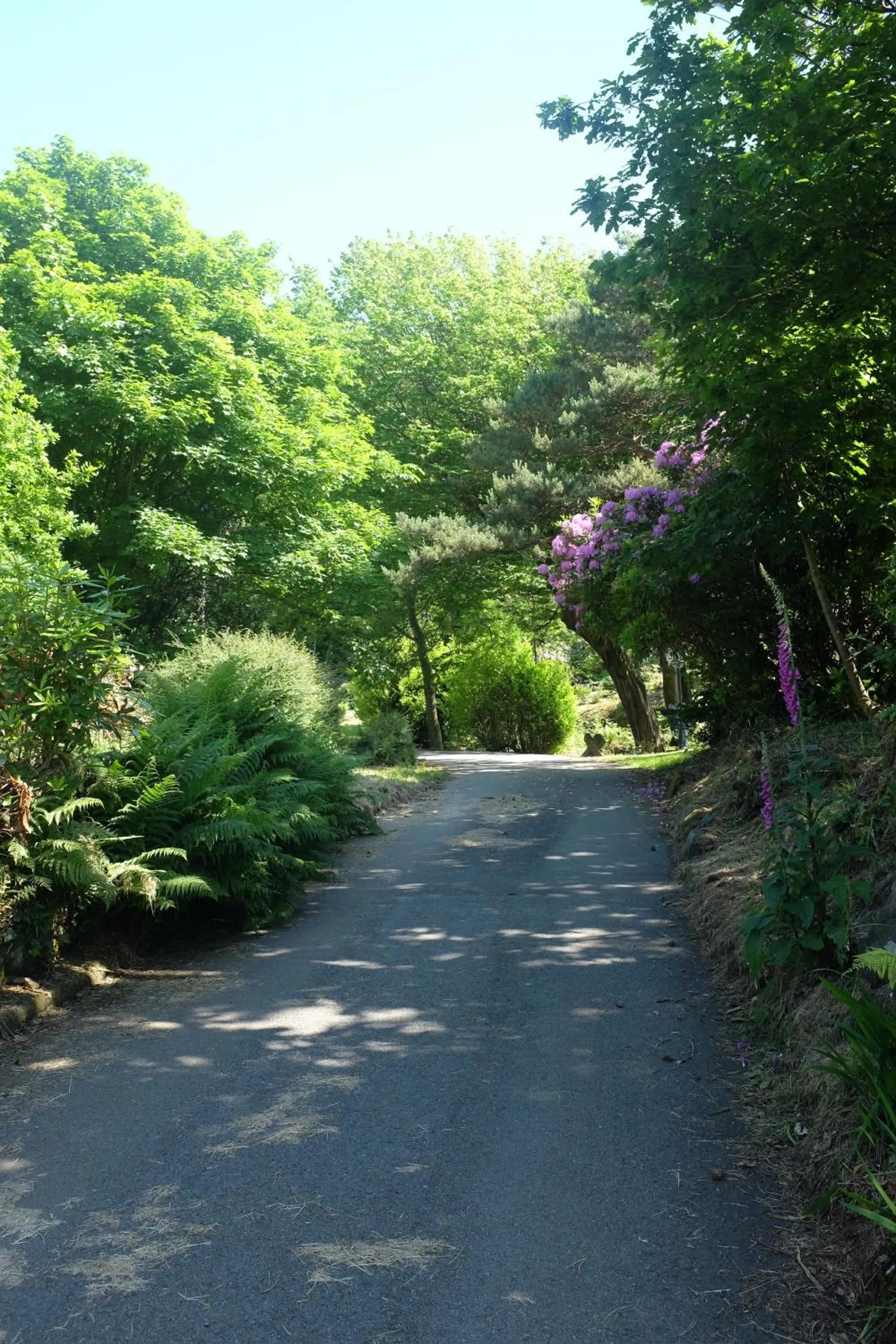 Garden view in Crown Lodge