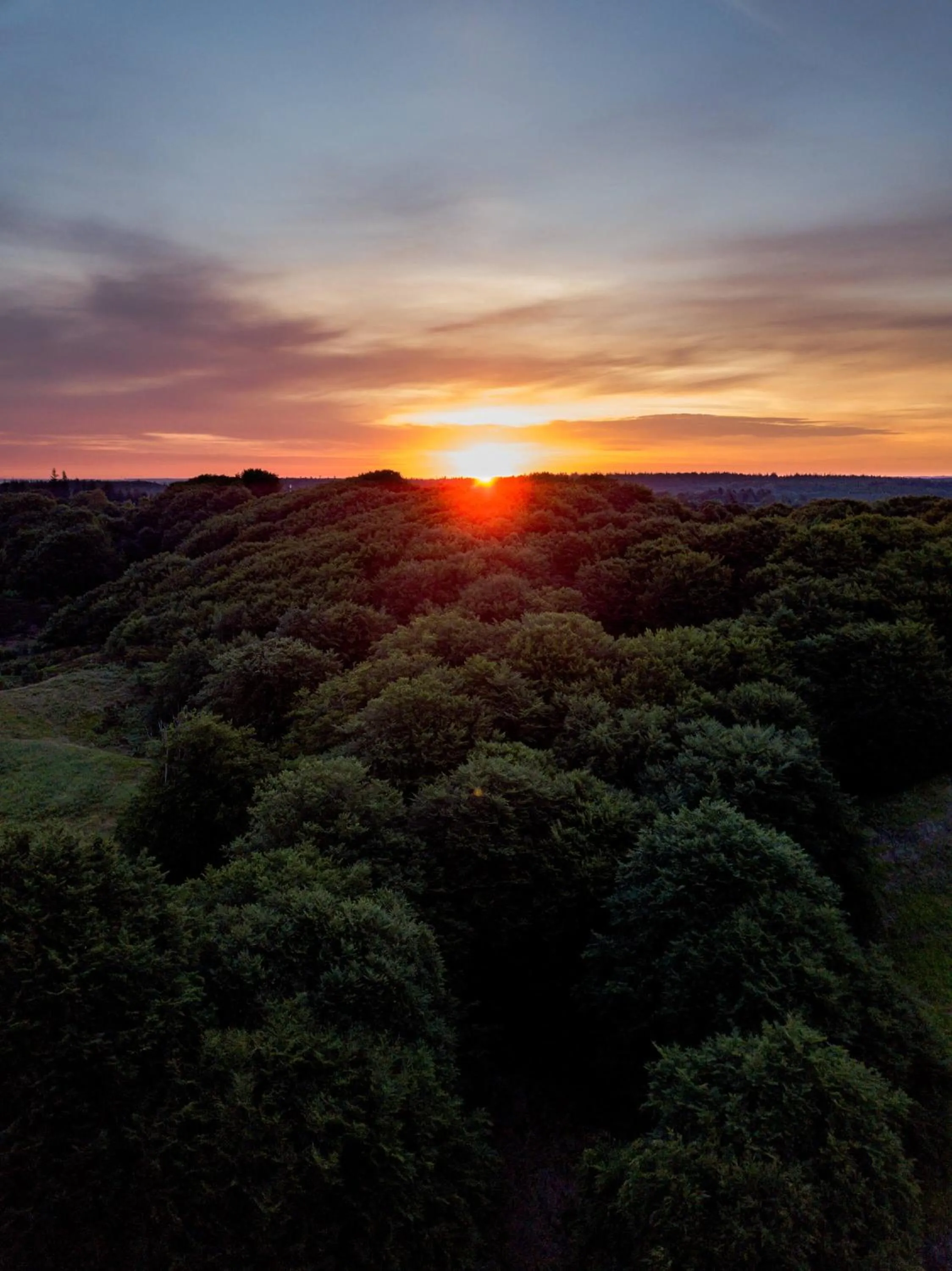 View (from property/room) in Comwell Rebild Bakker