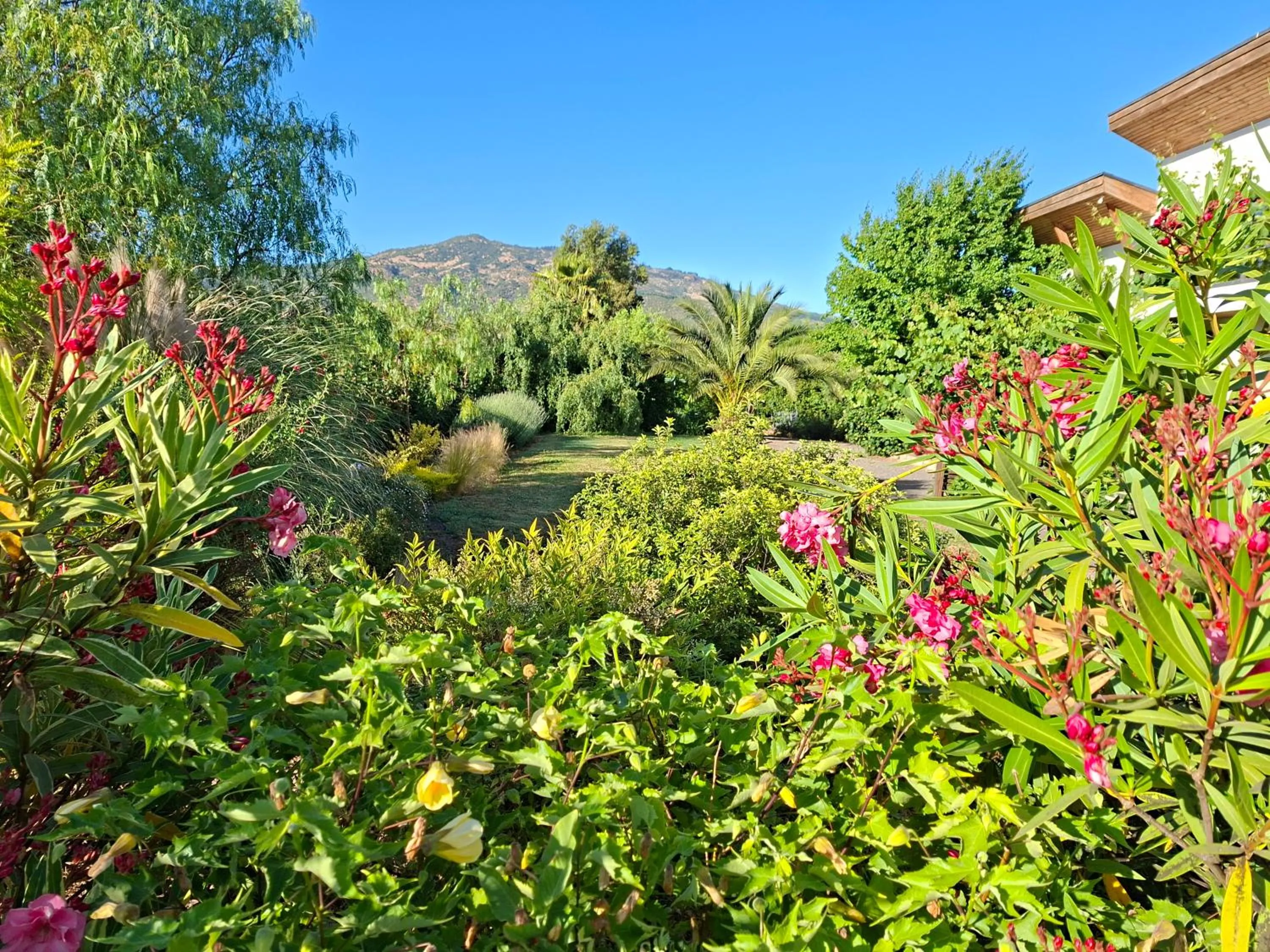 Spring in Callihue Lodge