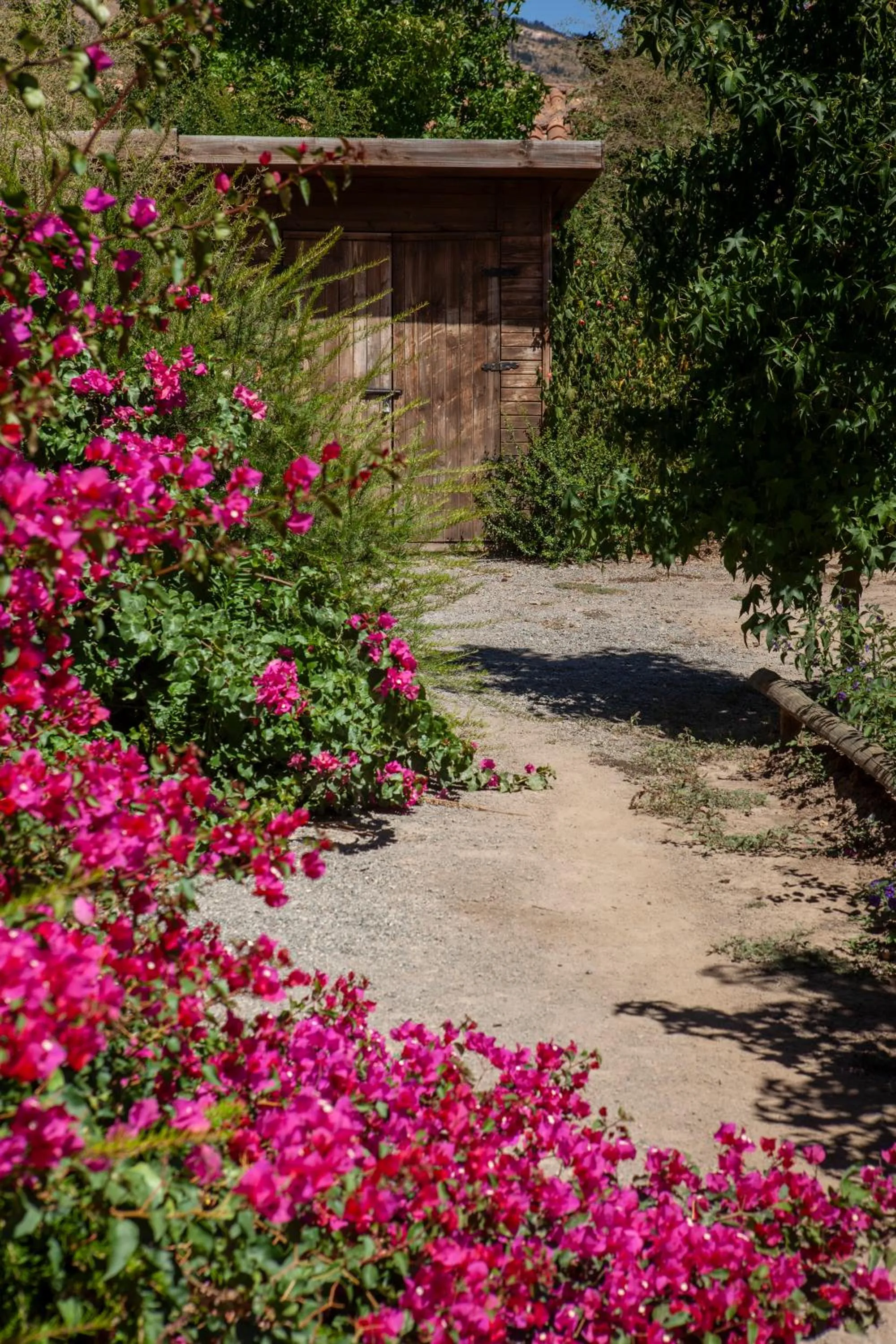 Property building in Callihue Lodge