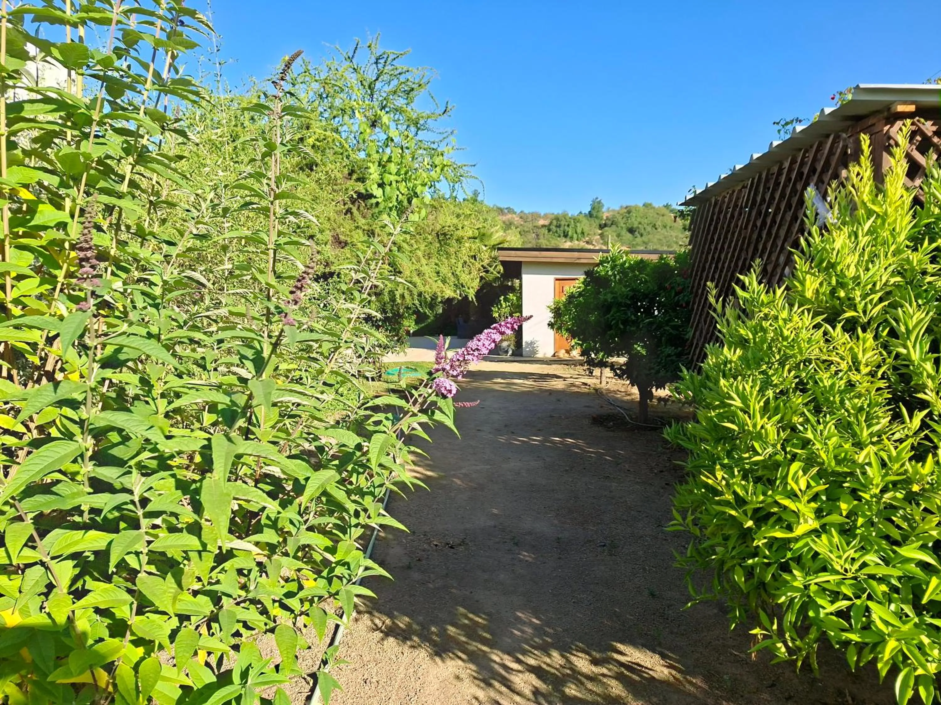 Property building in Callihue Lodge