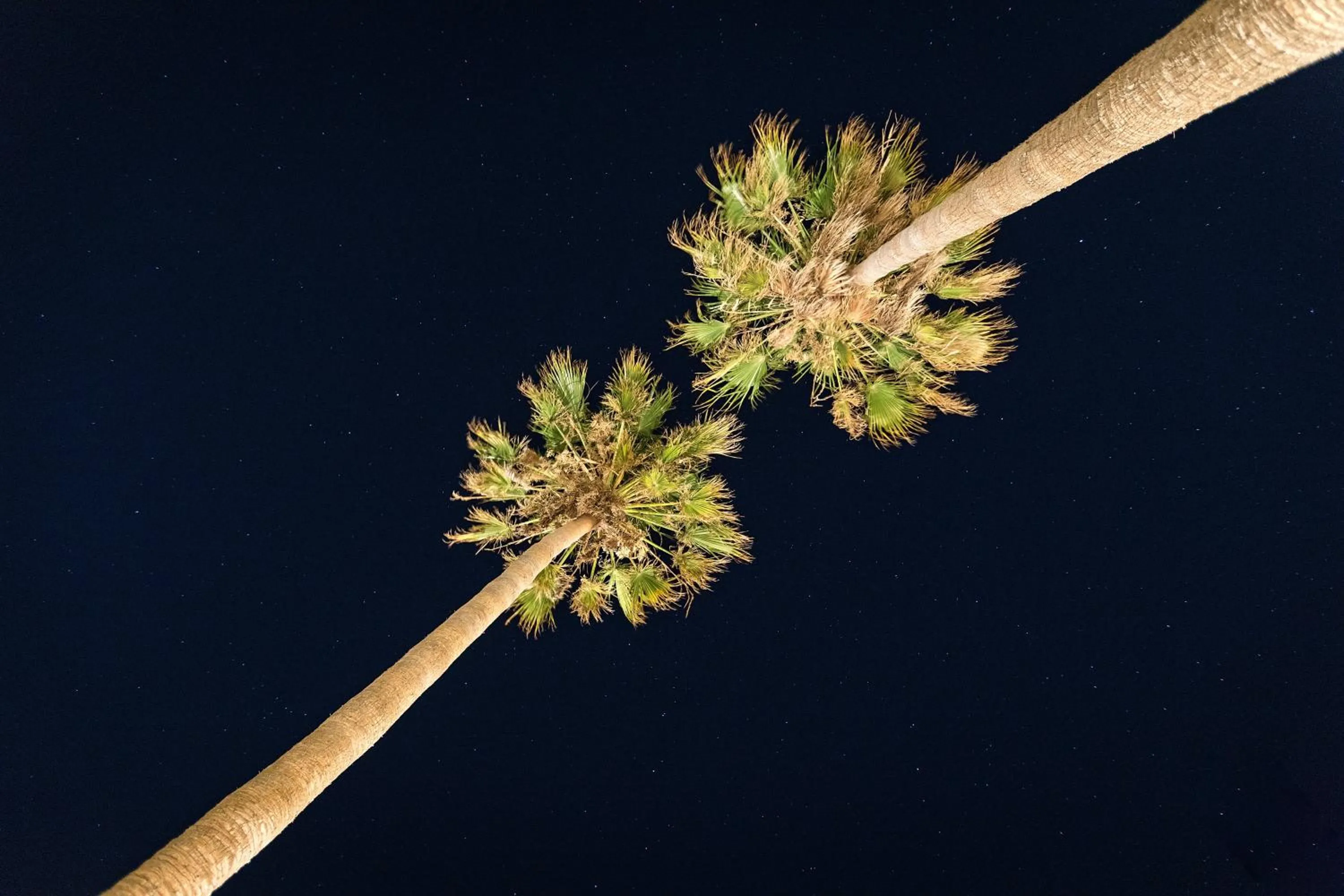 Property building in White Pearls-Adults Only Luxury Suites