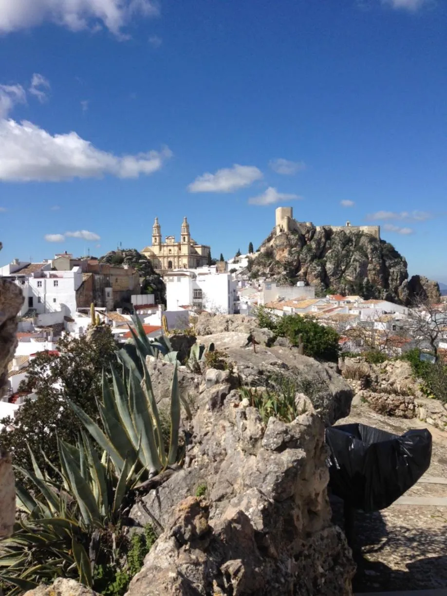 Natural landscape in No 31 Bed & Breakfast