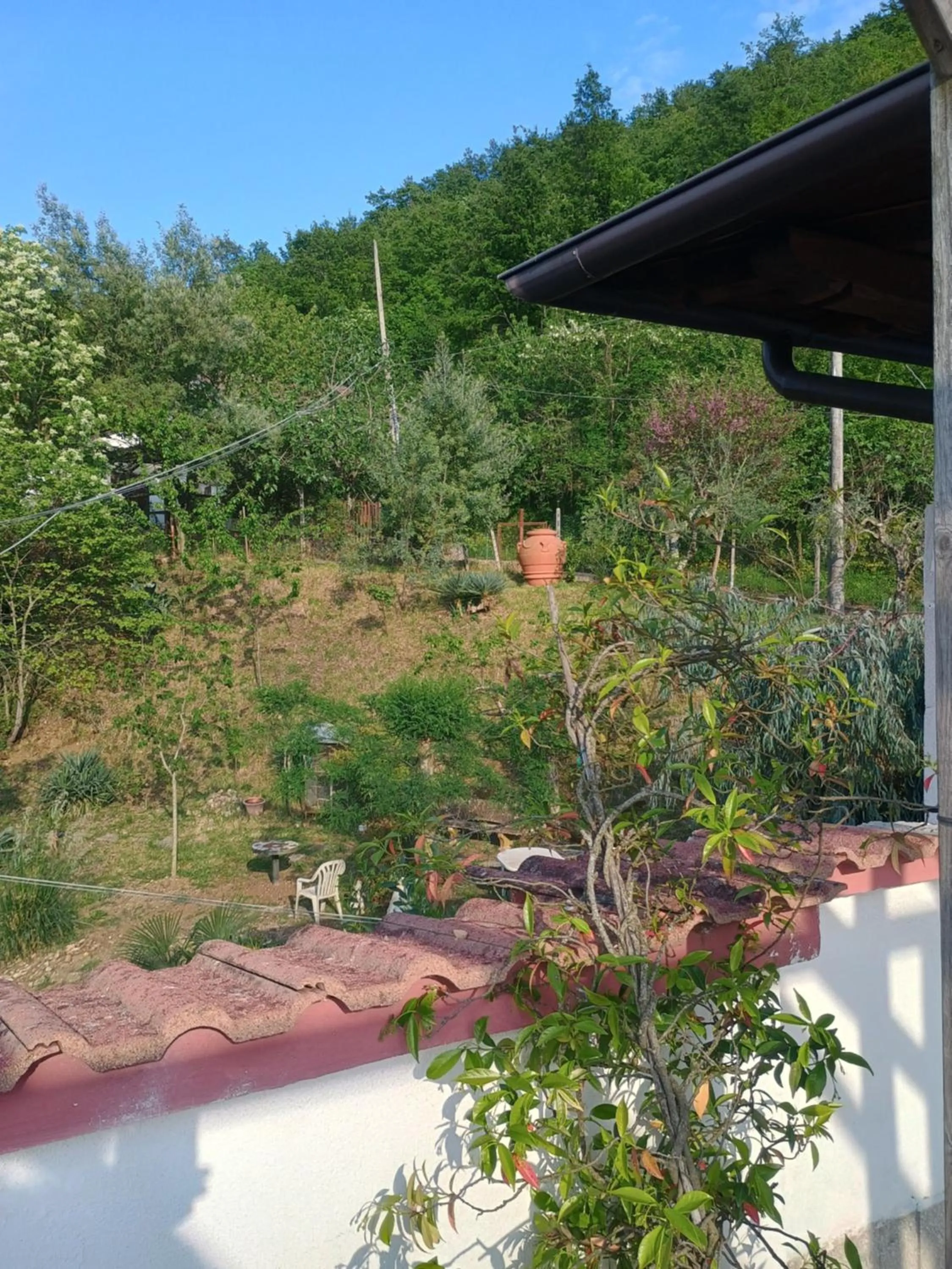 Natural landscape in B&b Fabra Casa Mia e non solo