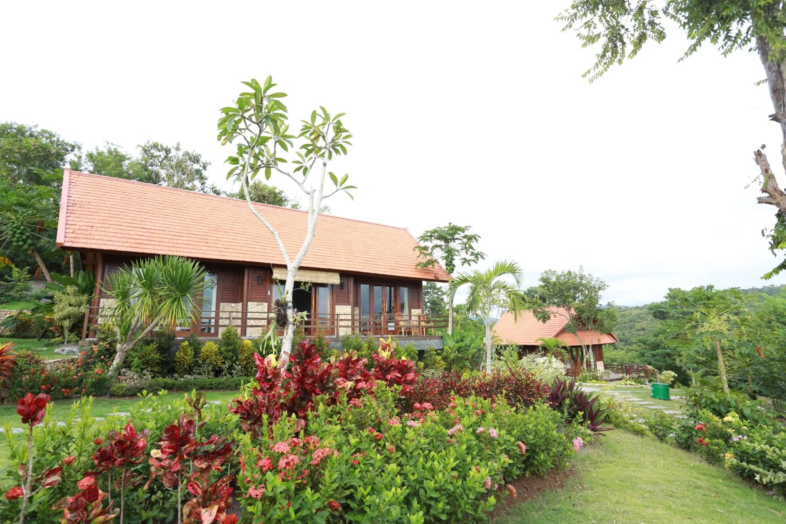 Garden view in Villa Domanik