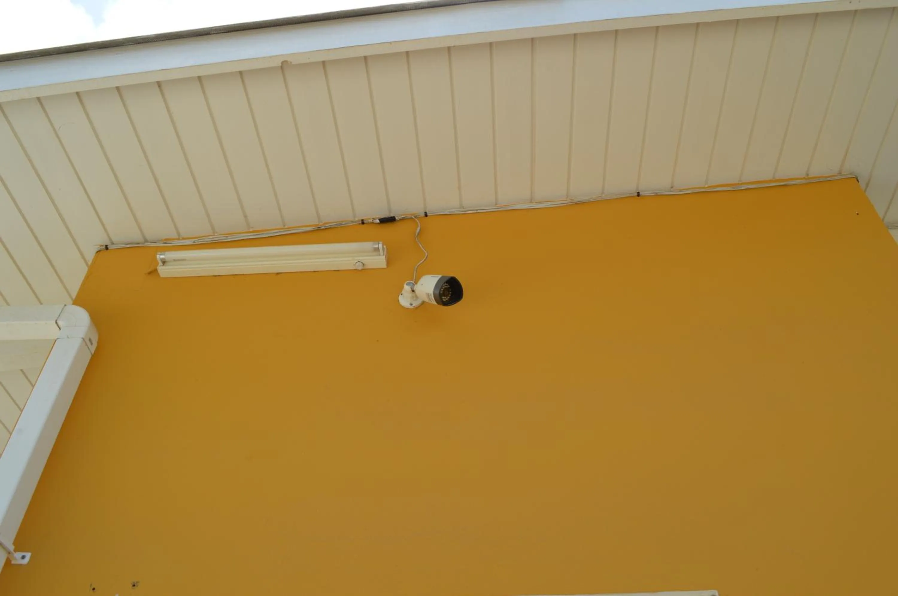 Other in Eve's Residence