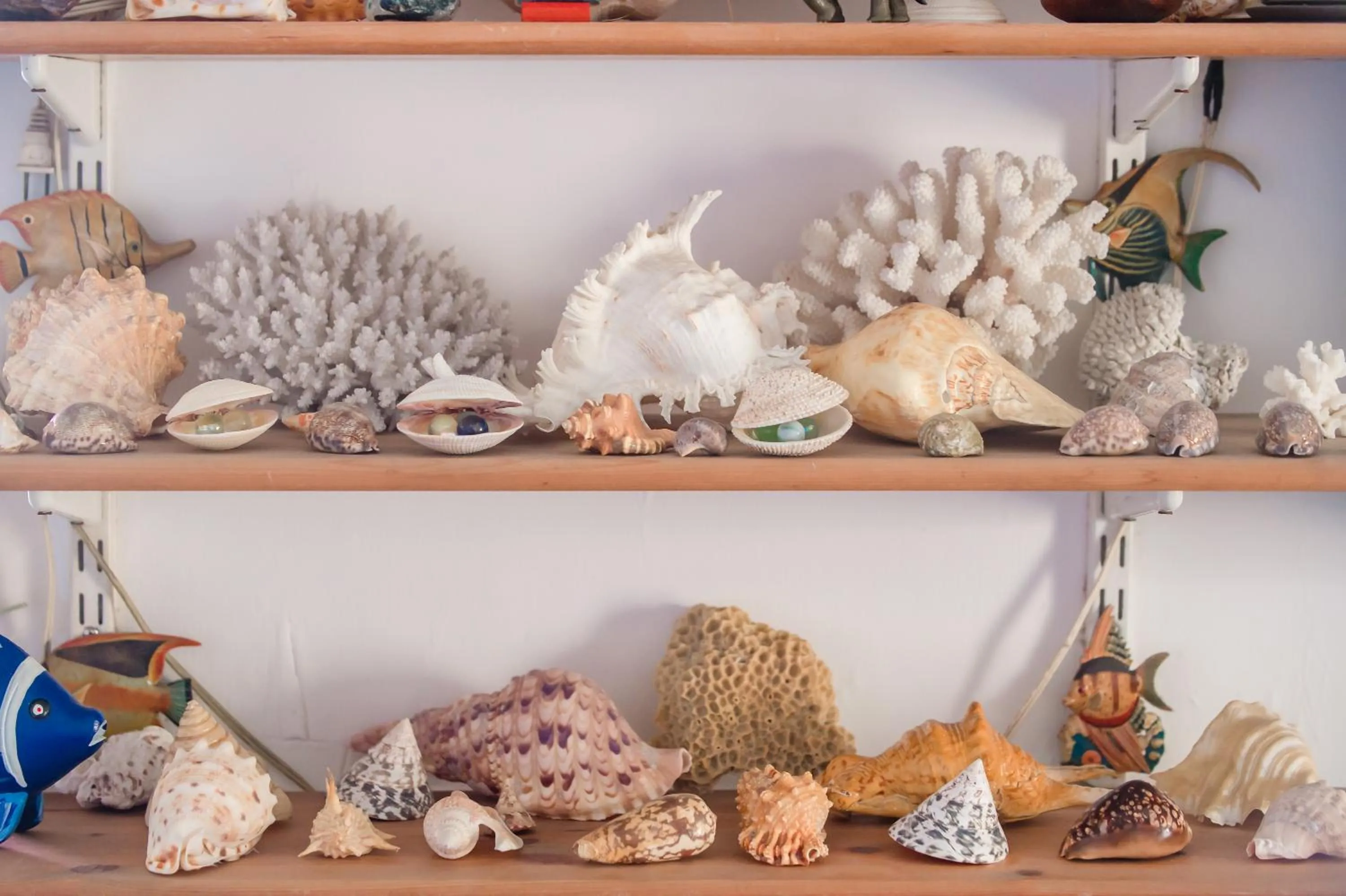 Decorative detail in Ocean B&B