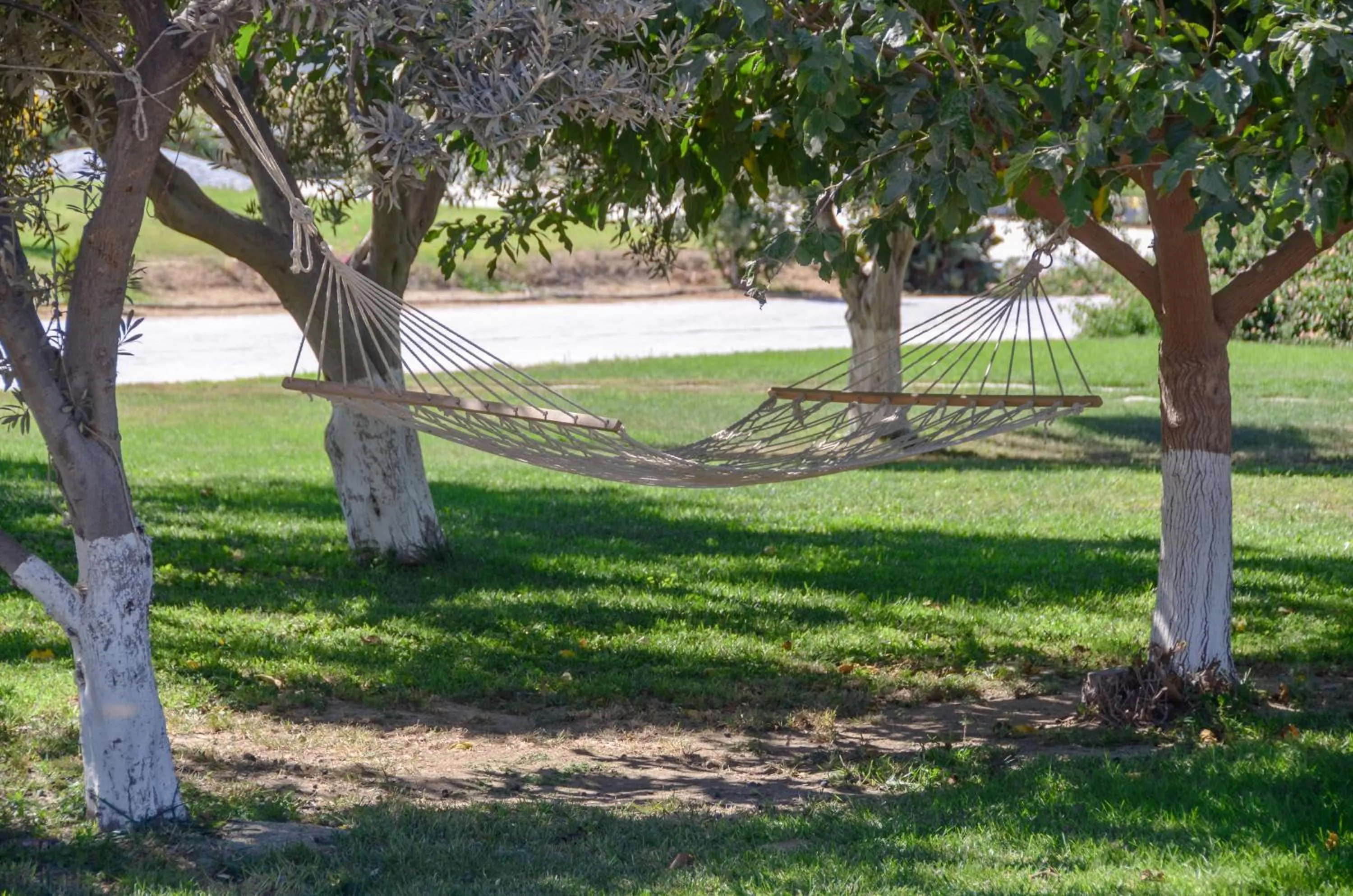 Garden in Birikos Hotel & Suites
