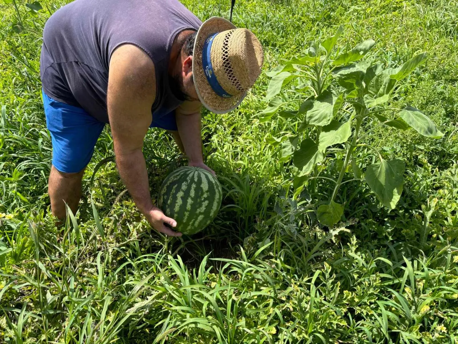 Birikos Hotel & Suites