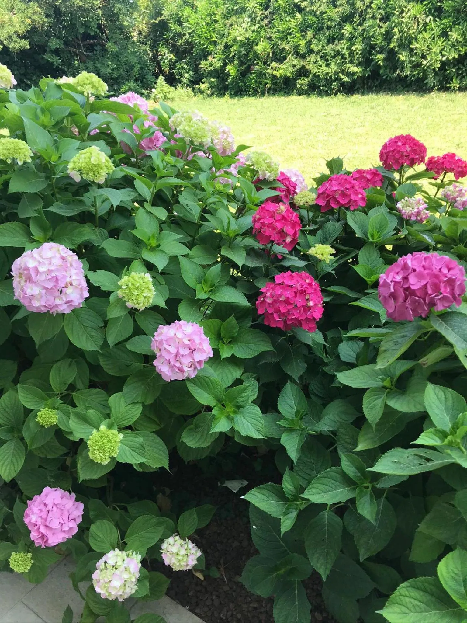 Bed and Breakfast da Beatrice