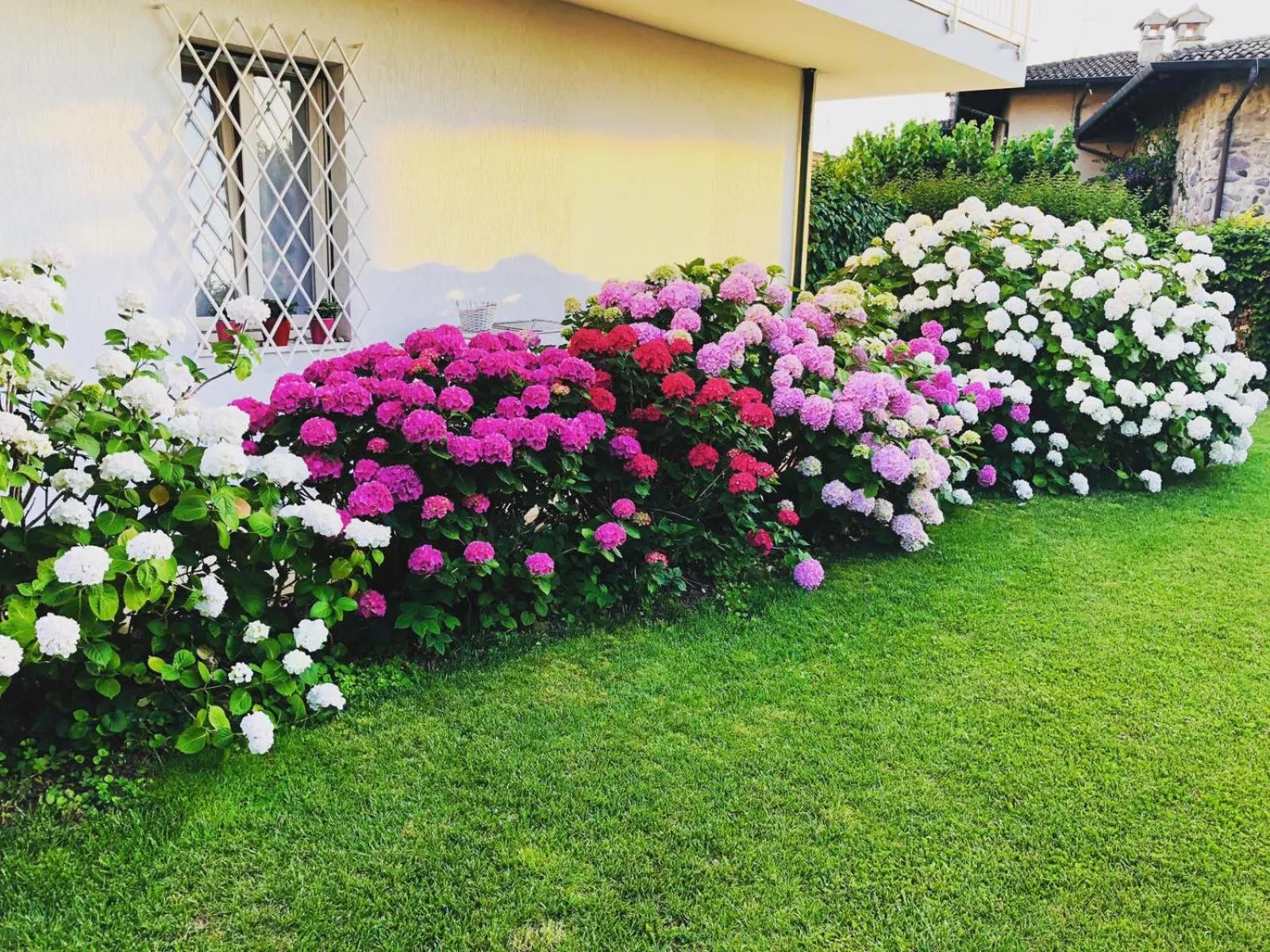 Garden view in Bed and Breakfast da Beatrice