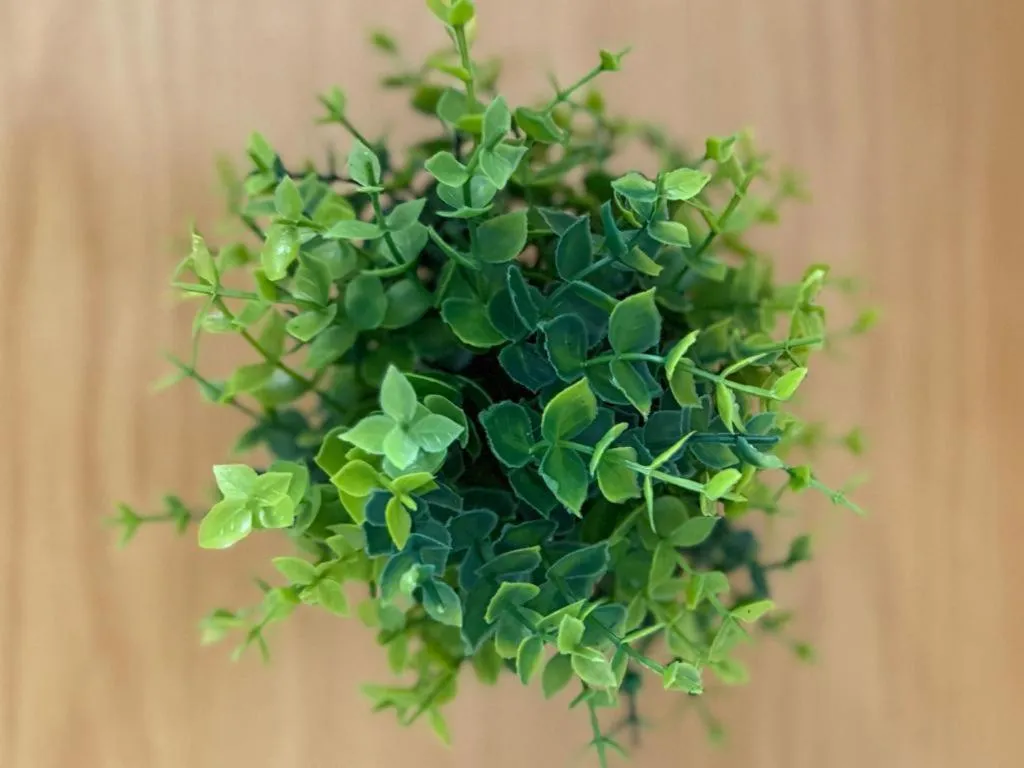 Decorative detail in St Helena Bay Hotel