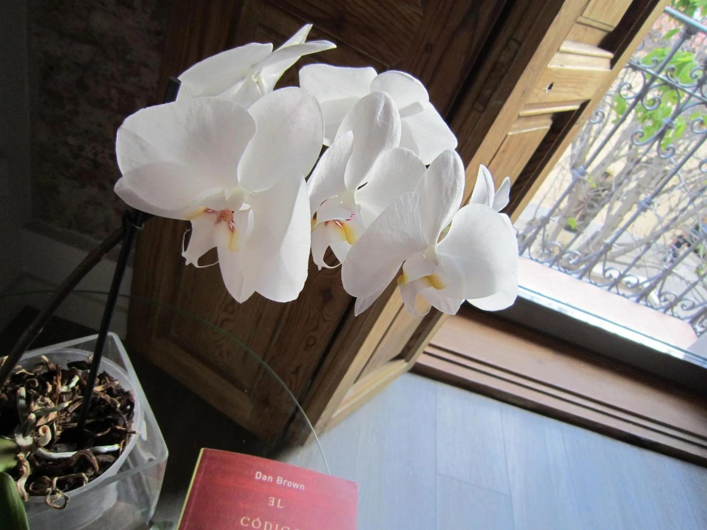 Time of day in San Lorenzo Suites