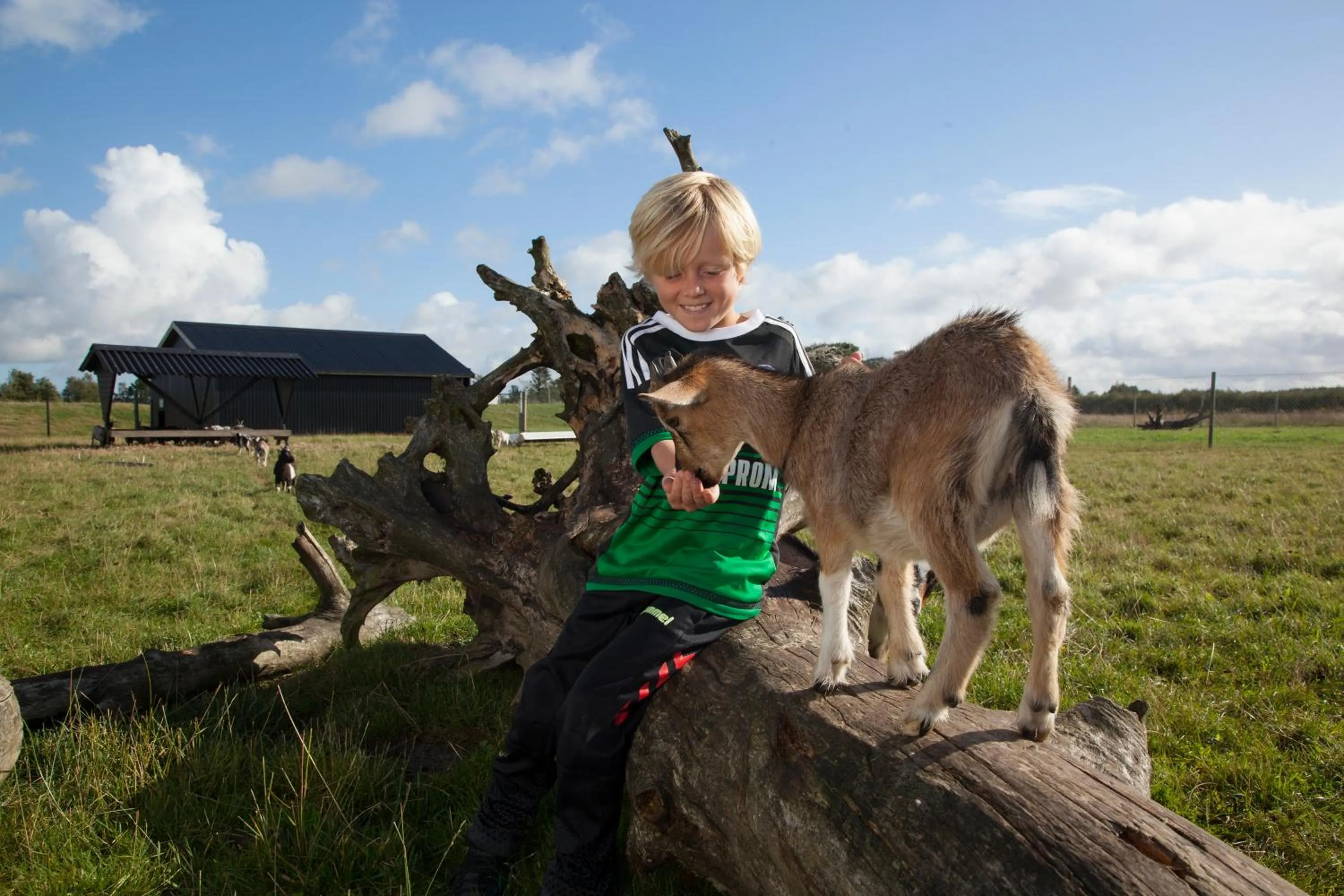Animals in Lalandia Rødby
