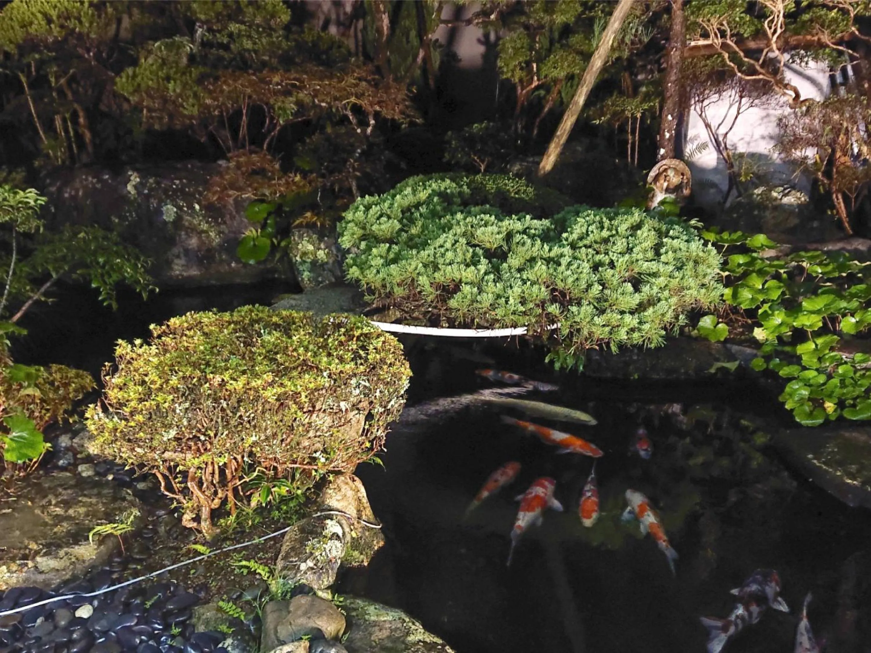 Garden in Kagetsu Ryokan