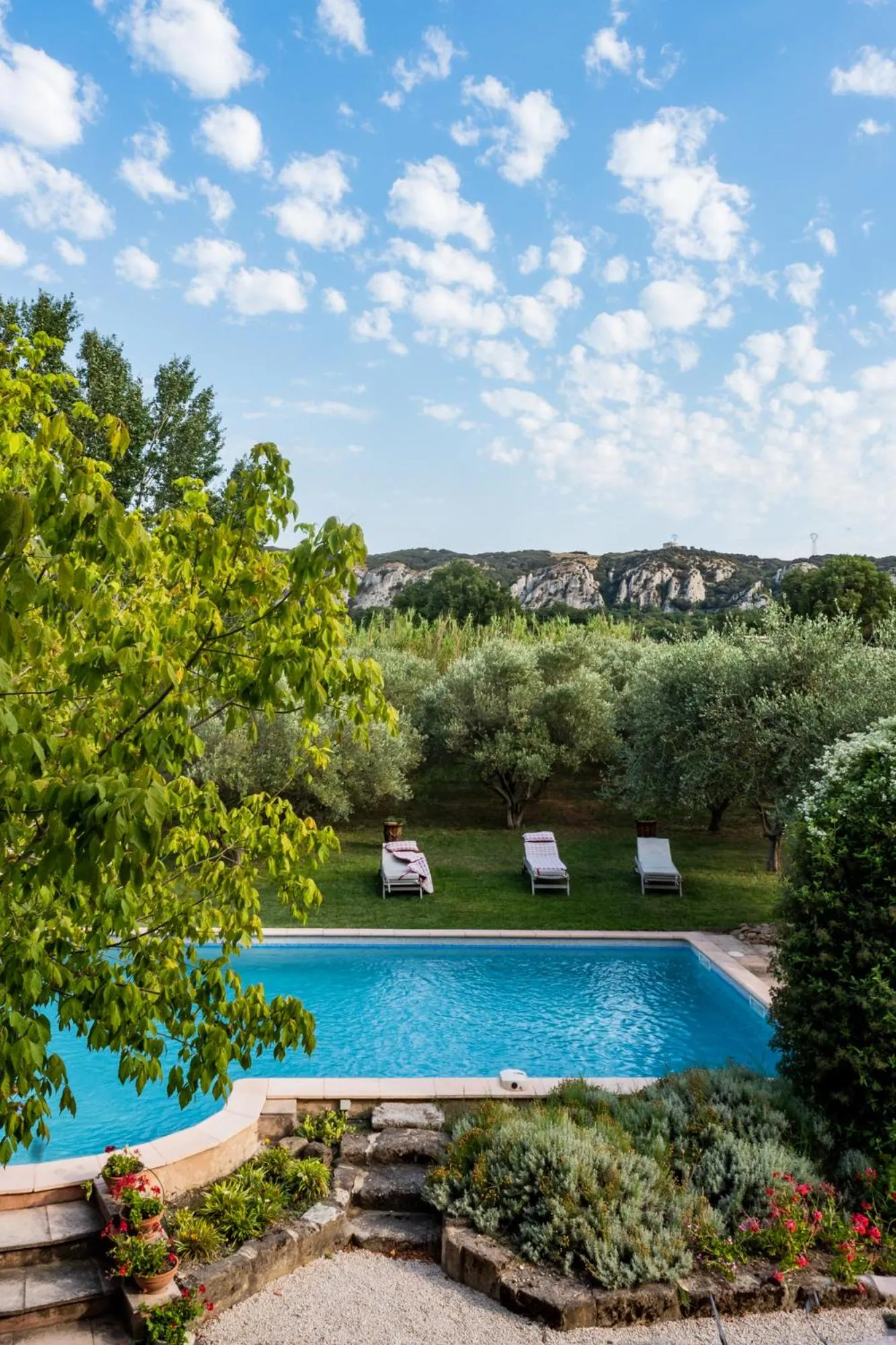 Pool view in Mas de l'arrivette