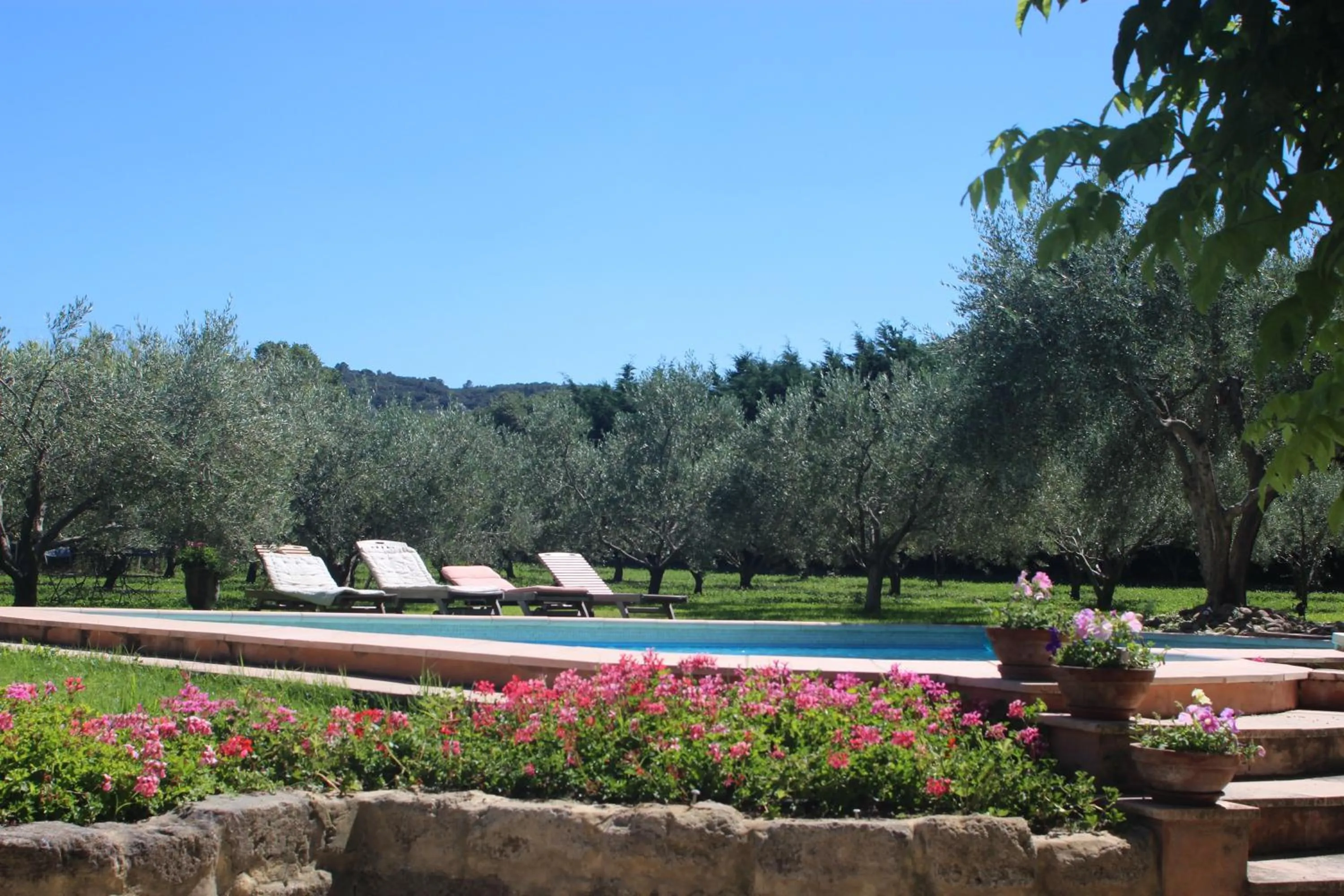 Garden in Mas de l'arrivette