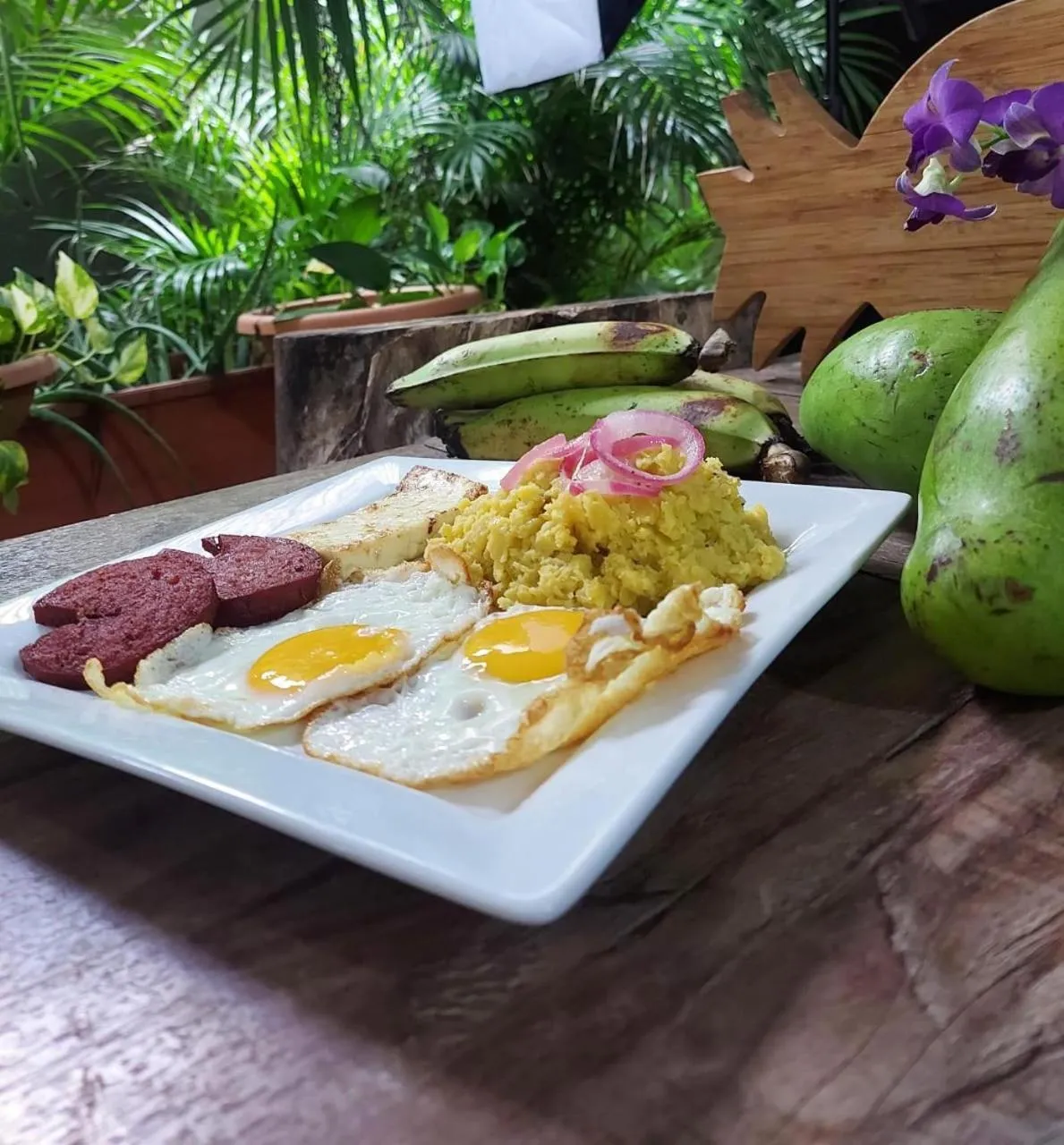 Restaurant/places to eat in B&M Setup Hotels