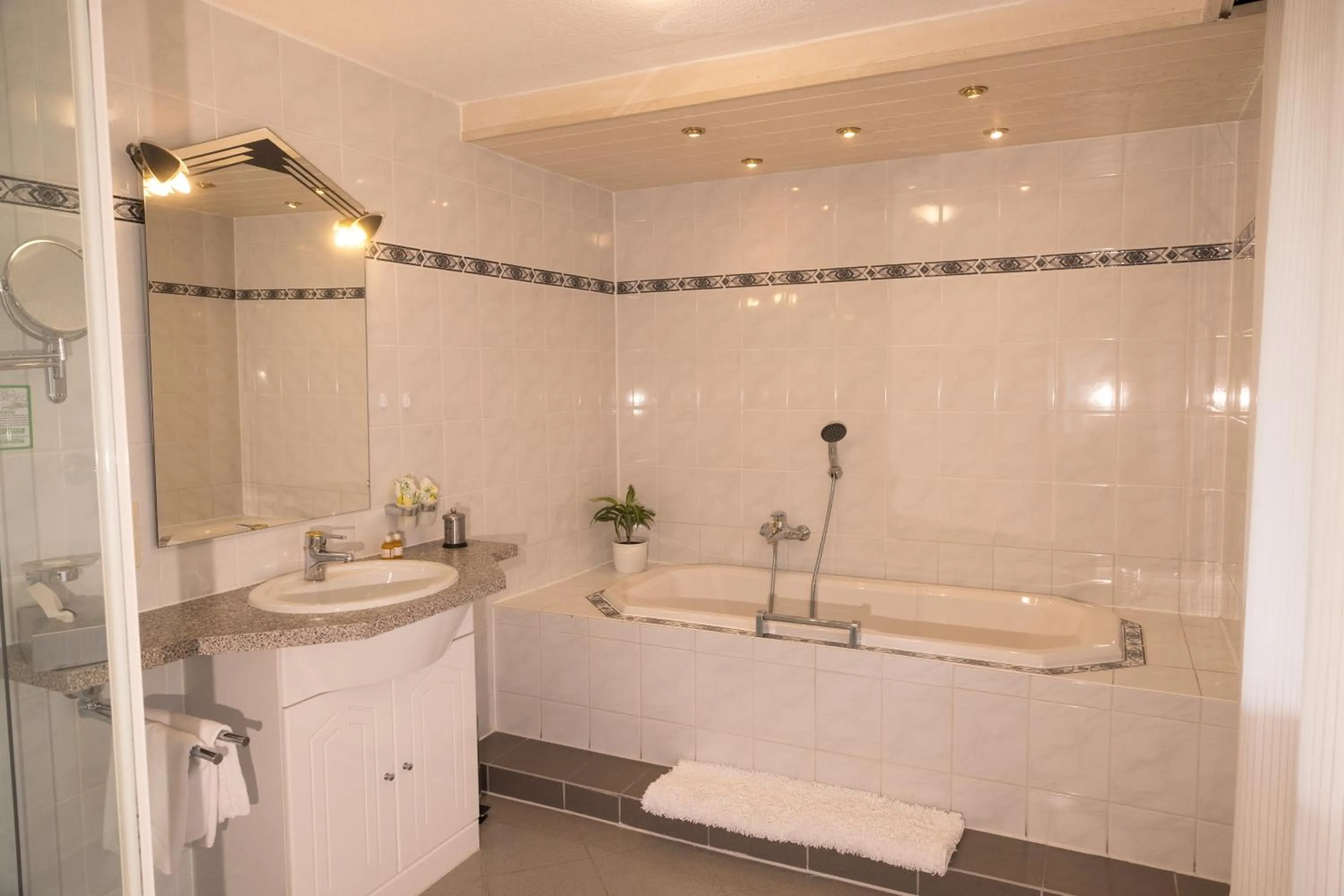 Shower in Hotel Breitenbacher Hof