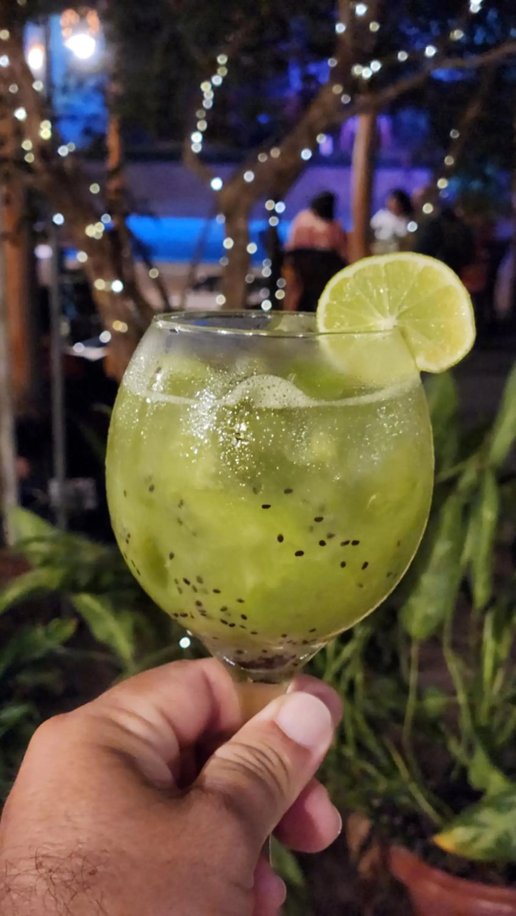 Drinks in Pousada Vila Cajuína - Luís Correia