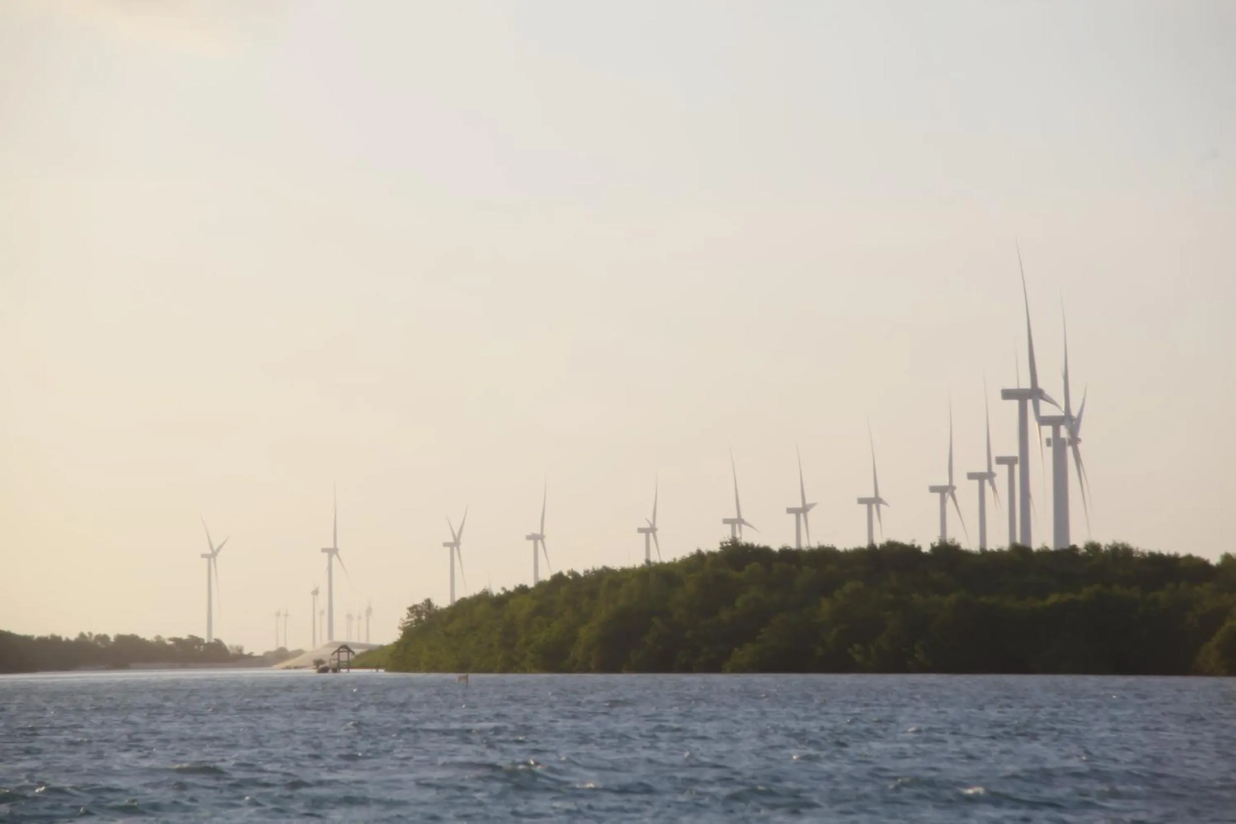 Natural landscape in Pousada Vila Cajuína - Luís Correia