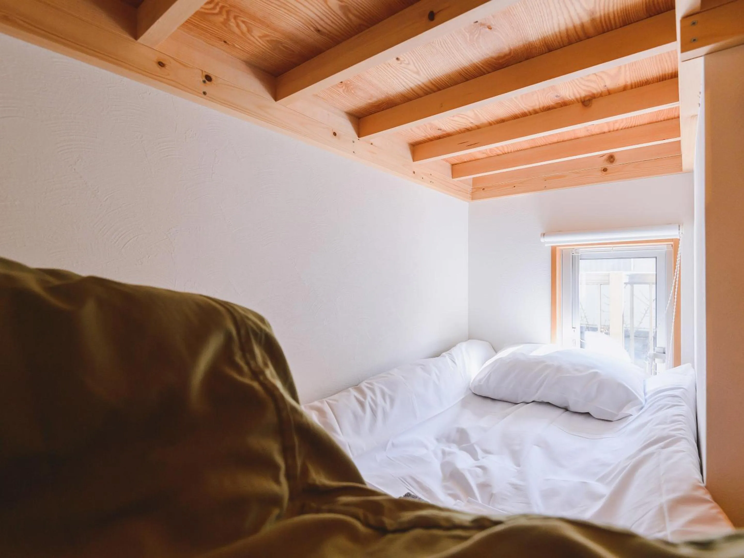 Photo of the whole room, Bed in guesthouse SHIBAFU