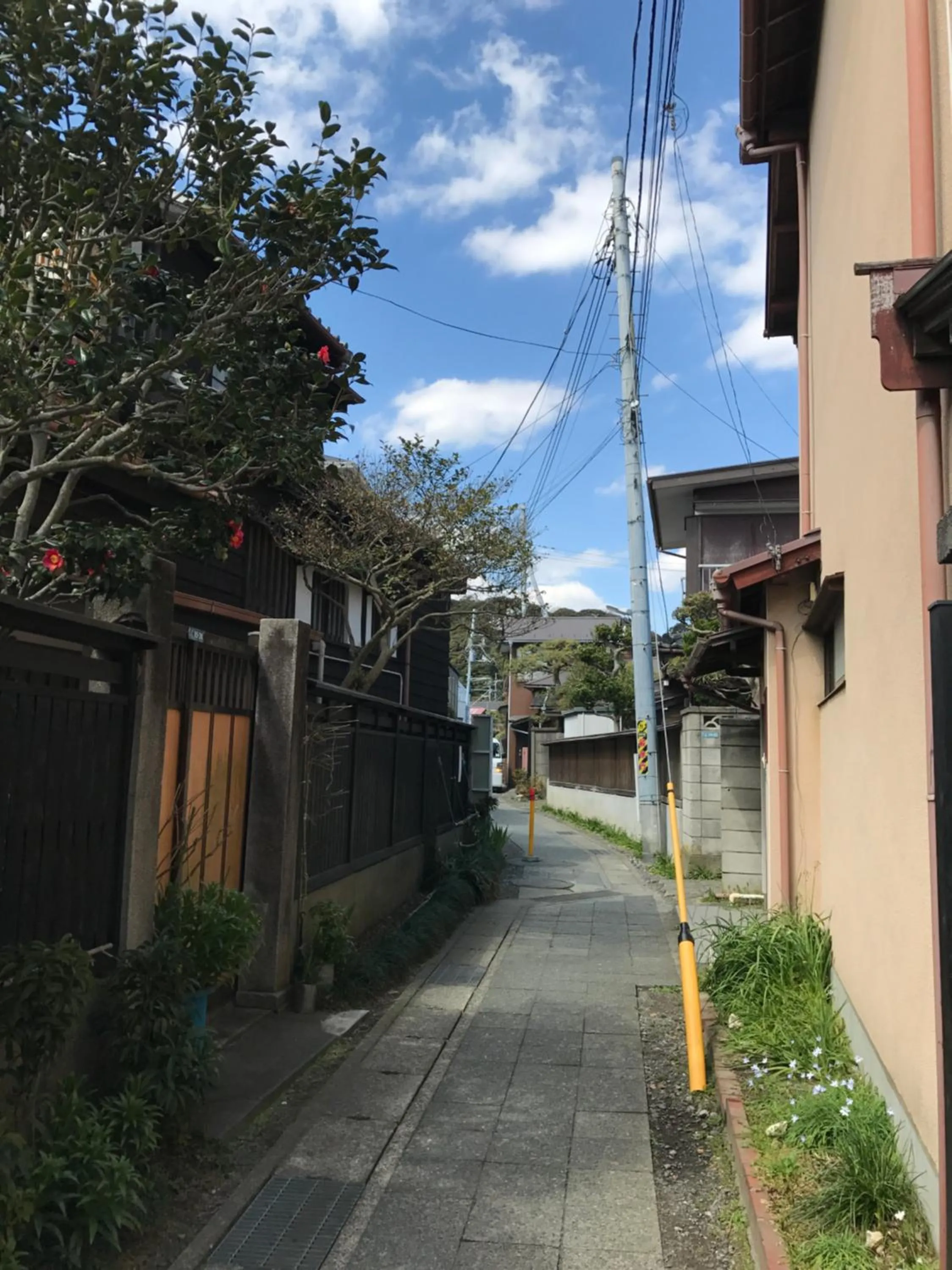 Neighbourhood in guesthouse SHIBAFU
