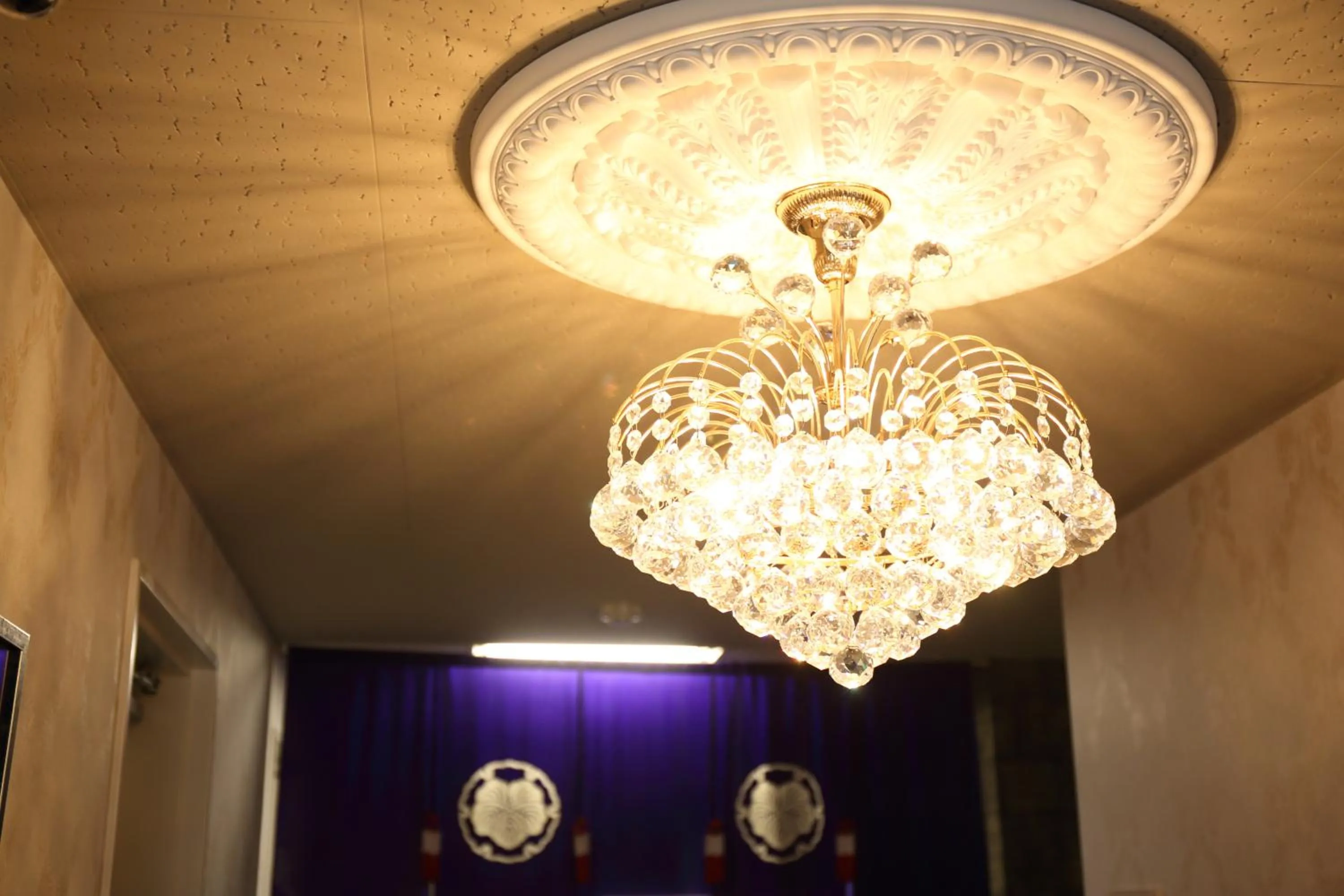 Area and facilities in Hotel Hana Ichirin