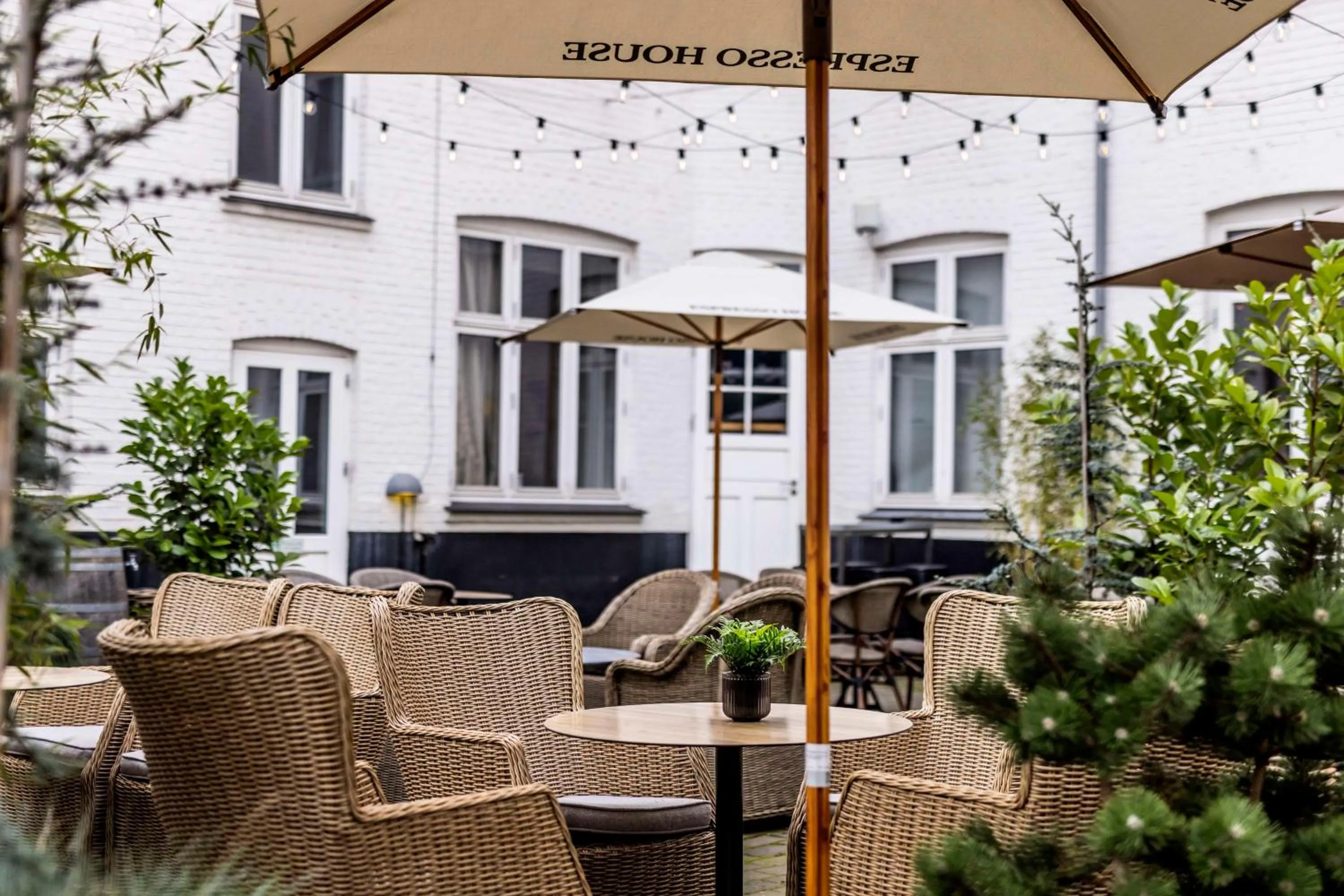 Property building in Scandic Webers