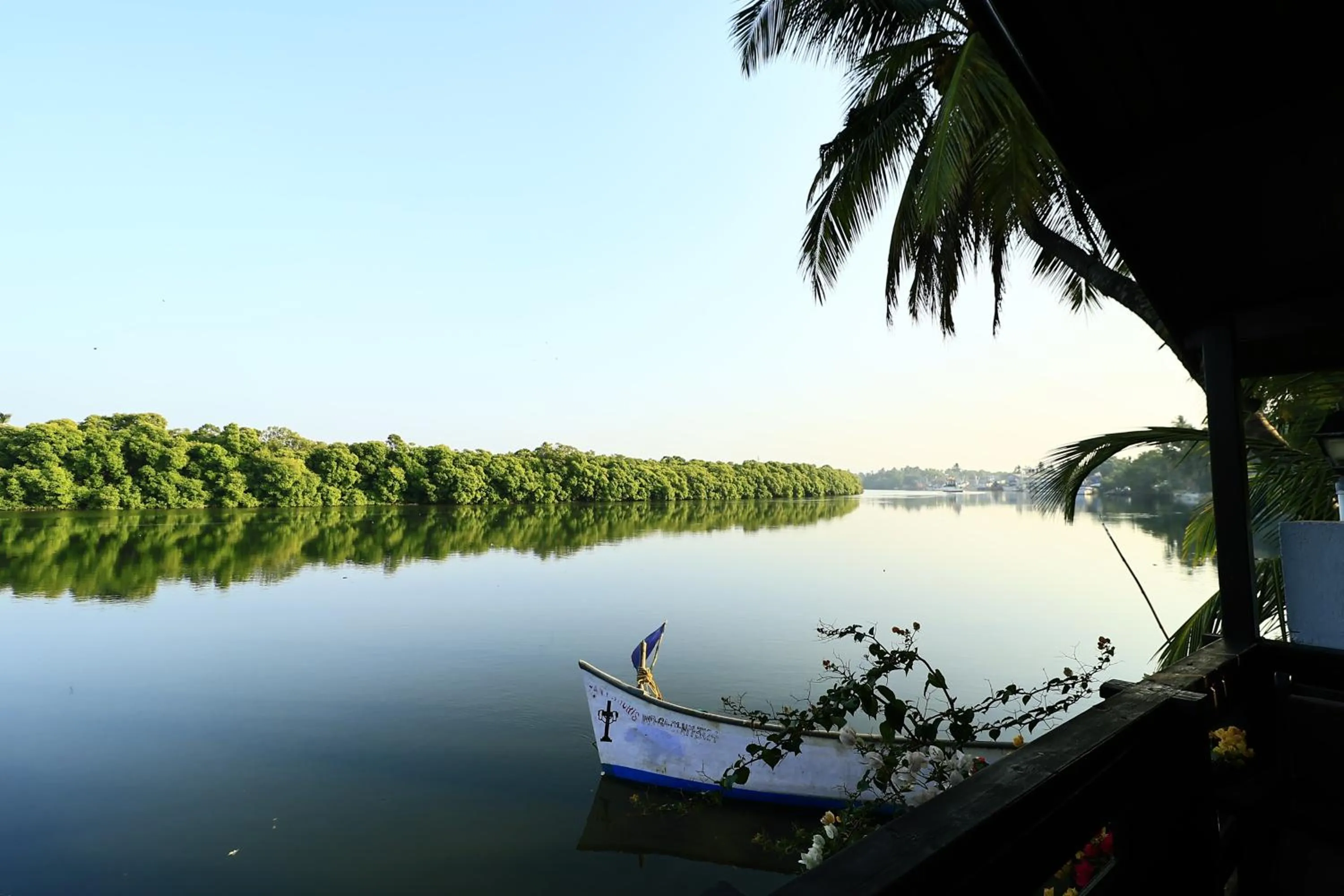 Natural landscape in Sal Riviera
