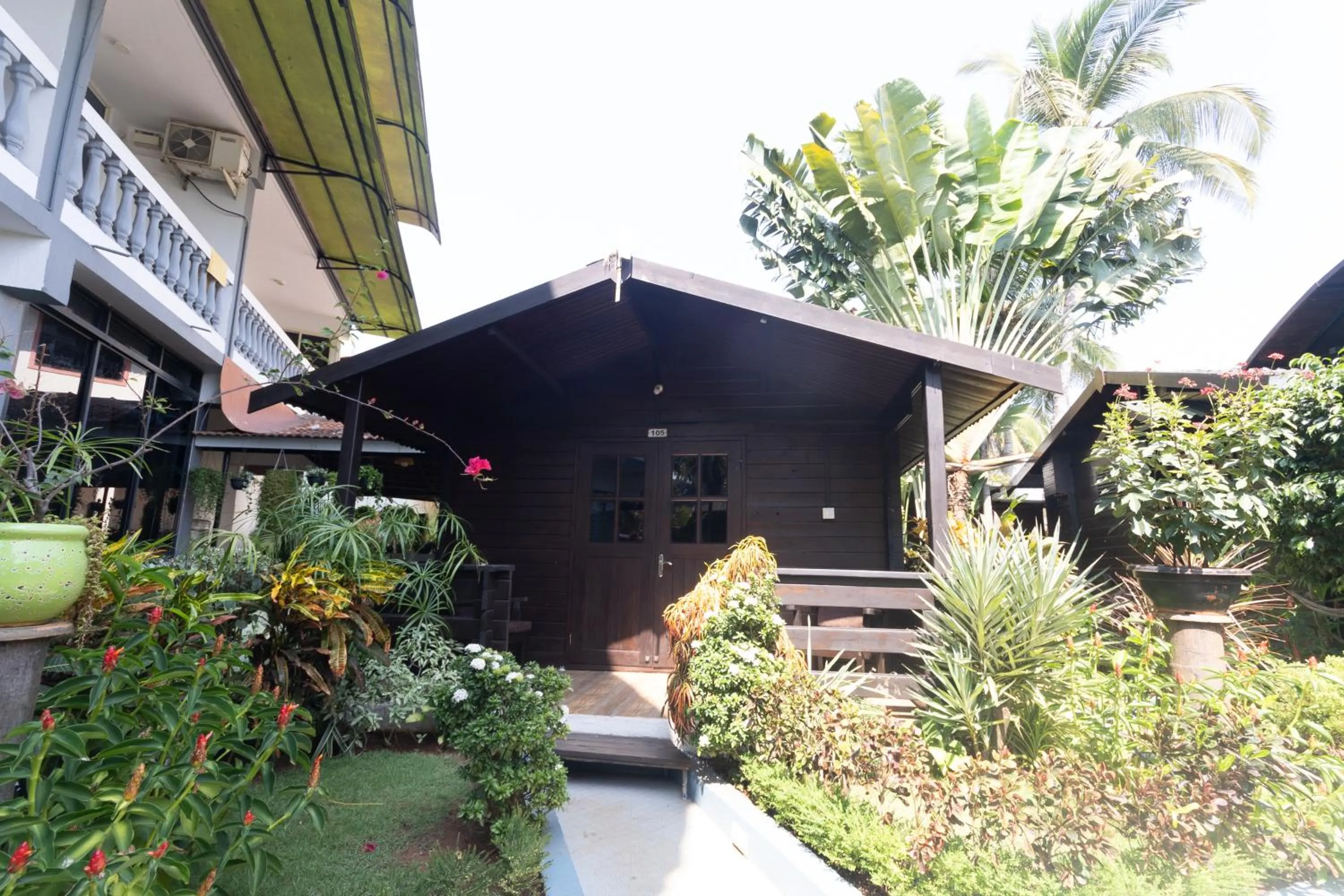 Garden view in Sal Riviera