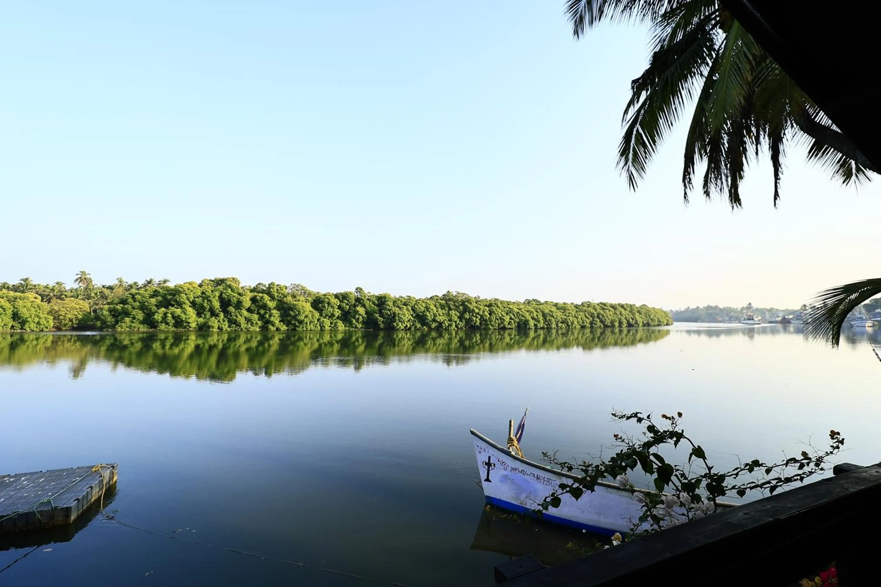 Natural landscape in Sal Riviera