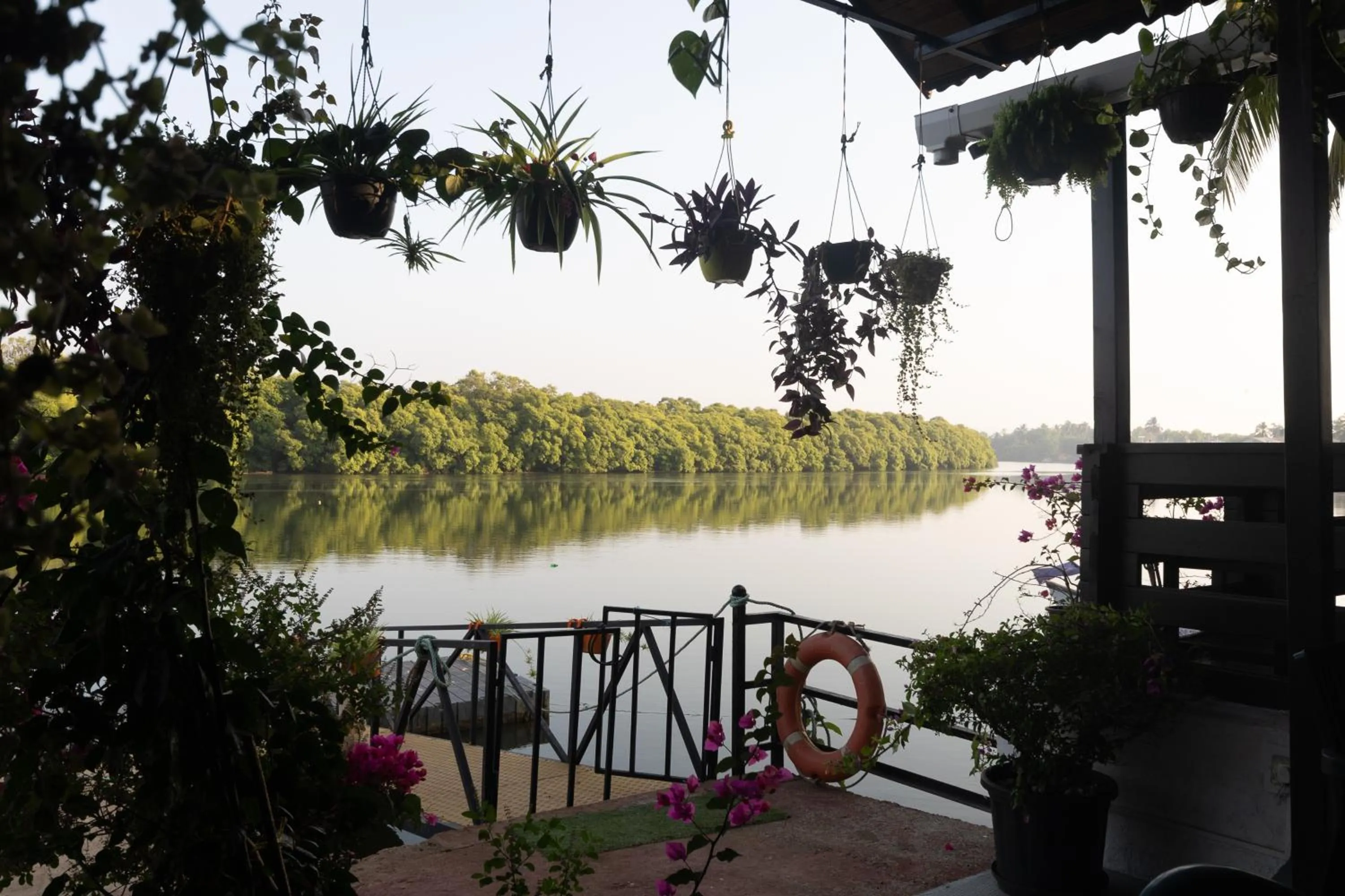 Natural landscape in Sal Riviera