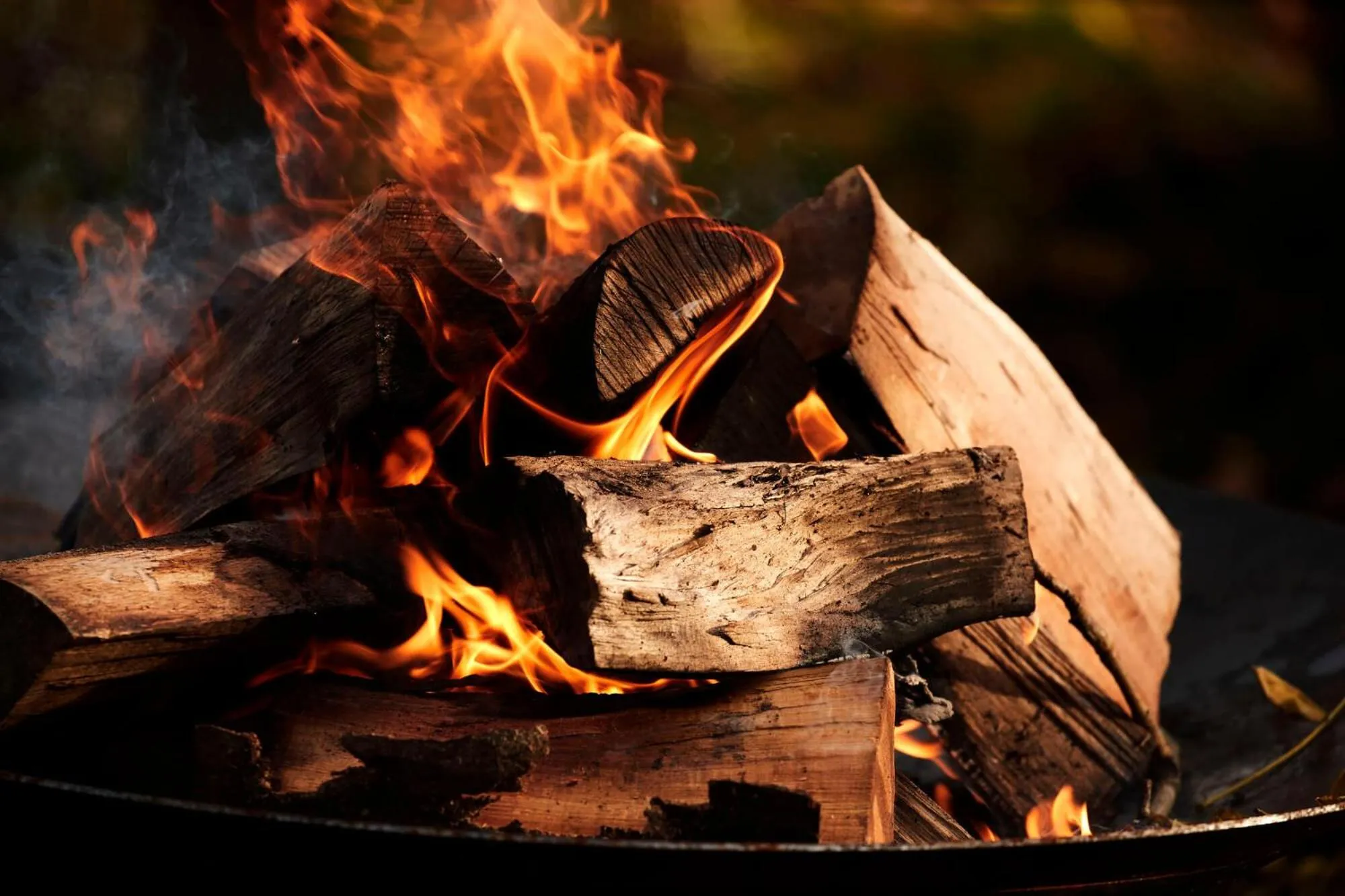 Area and facilities in Comwell Borupgaard