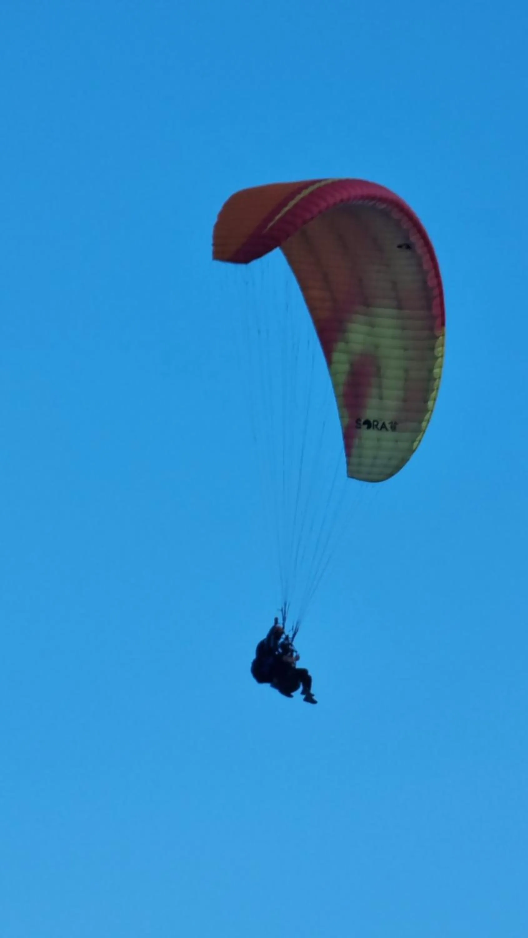 Activities, Other Activities in Hotel Level