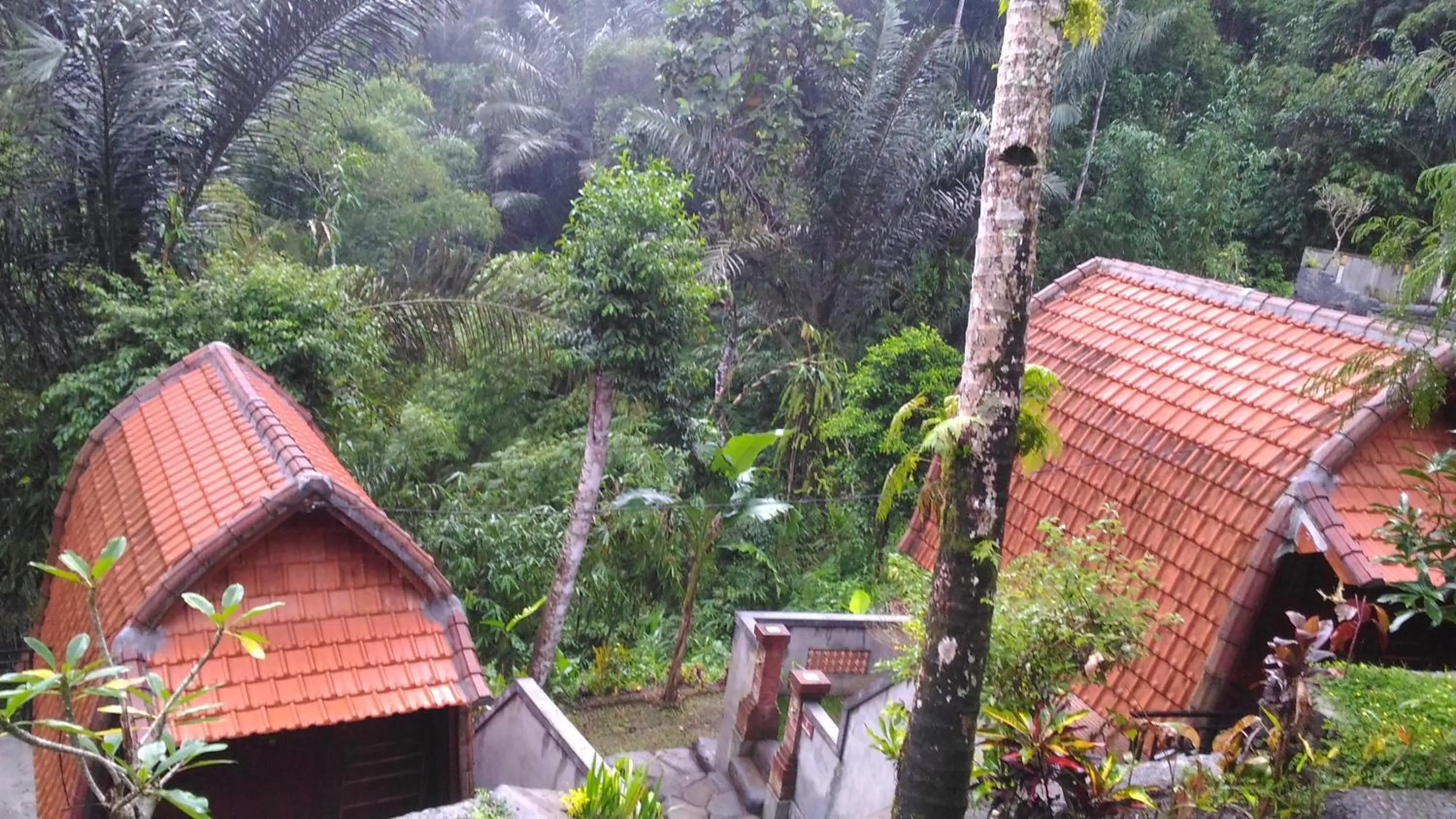 Standard Double Room in Bali Jungle Resort
