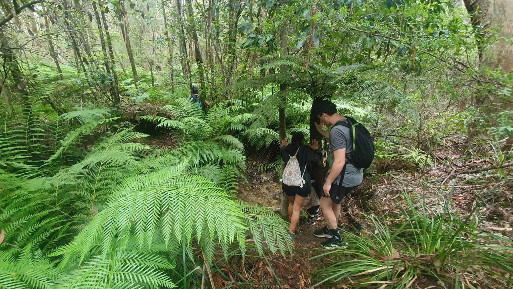 Spring in Flying Fox Backpackers