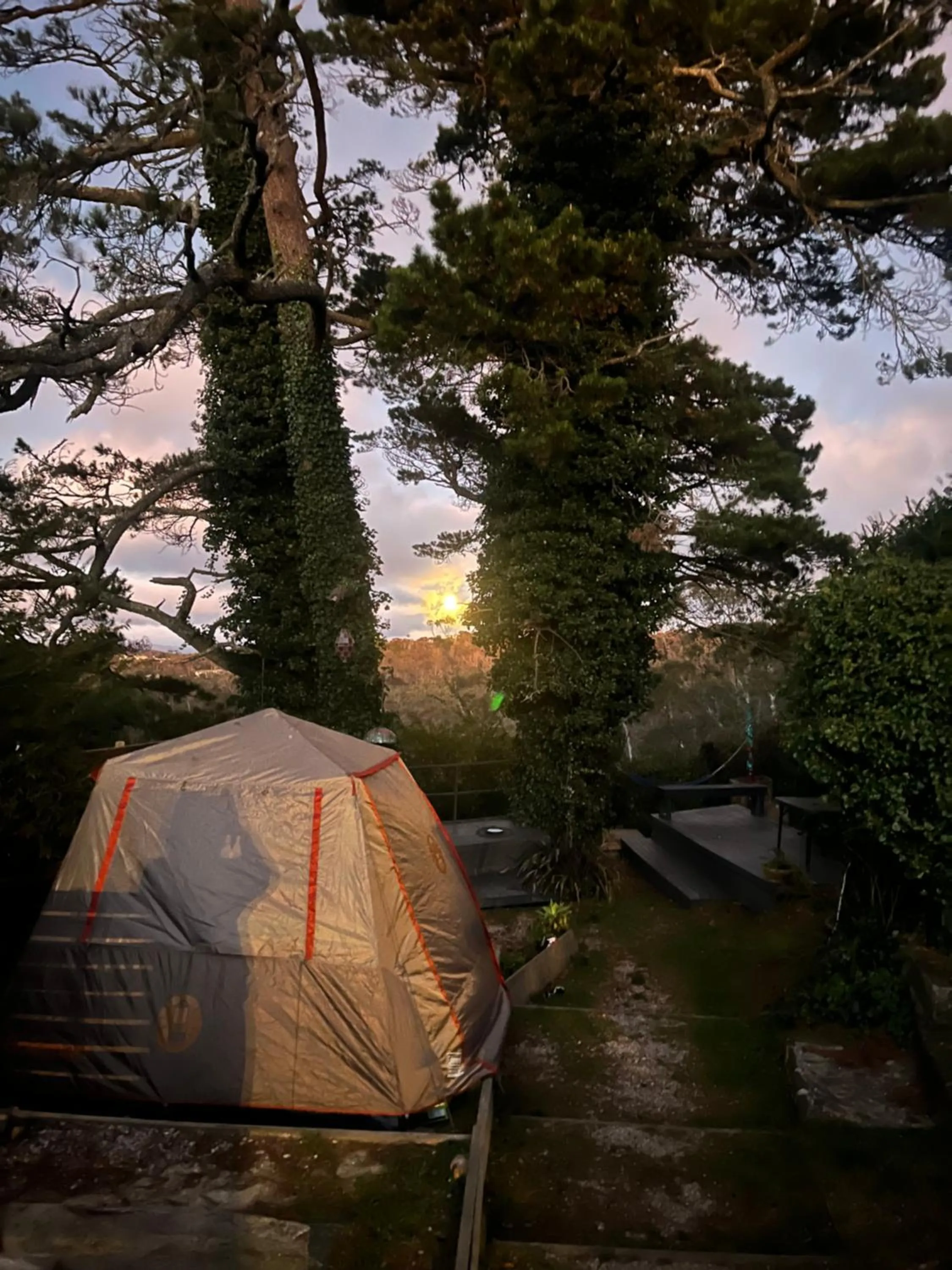 Flying Fox Backpackers