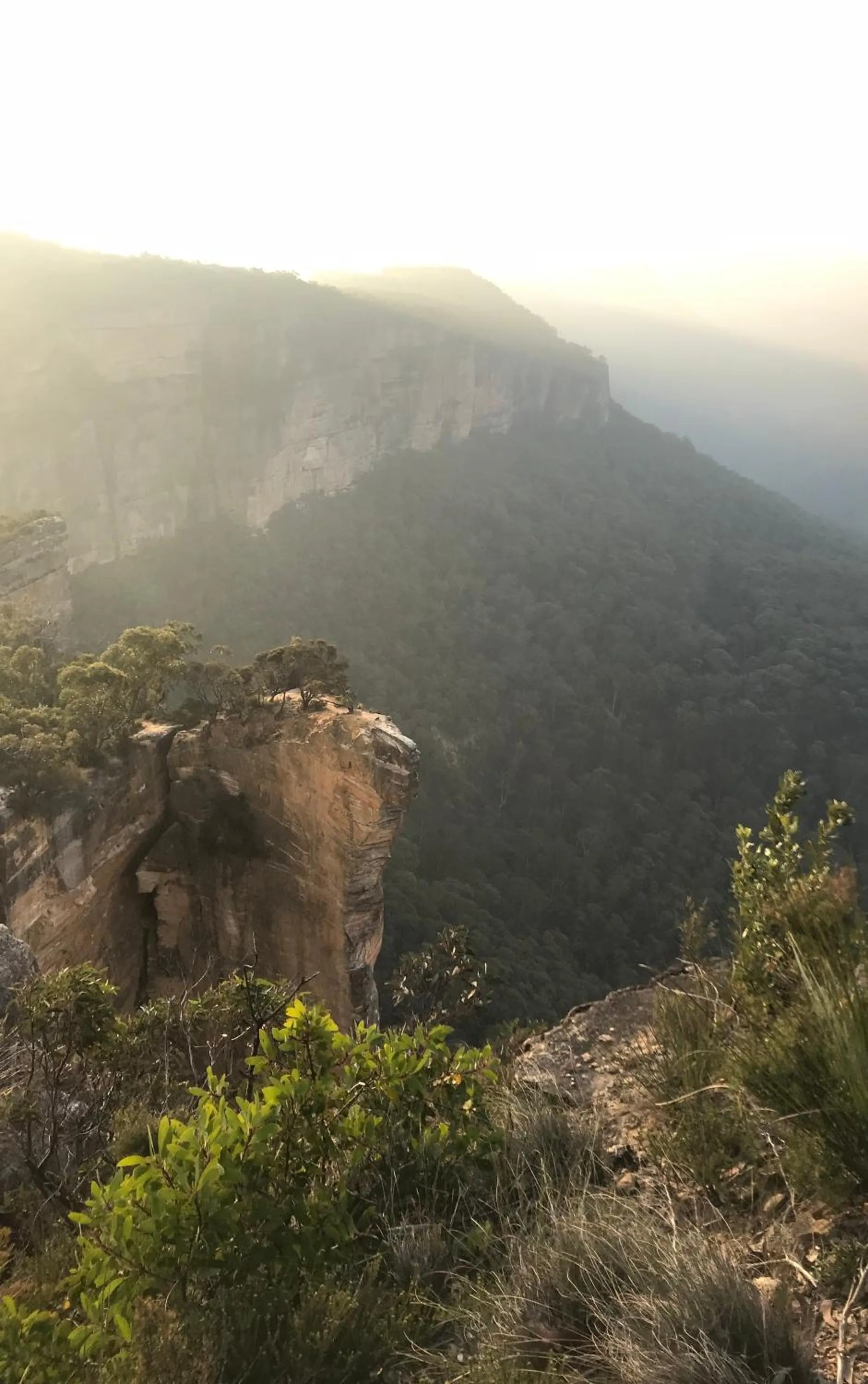 Nearby landmark in Flying Fox Backpackers
