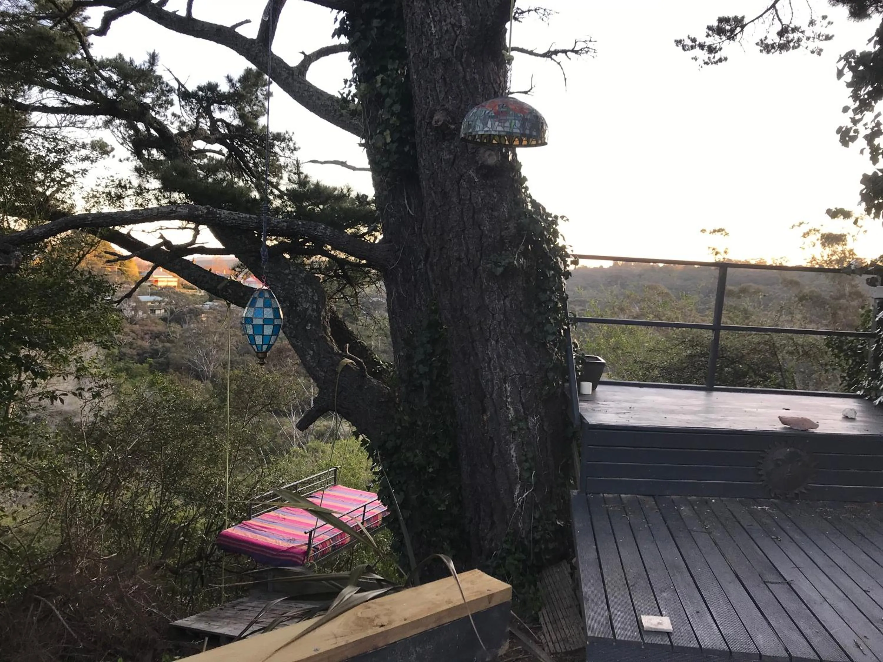 Spring in Flying Fox Backpackers