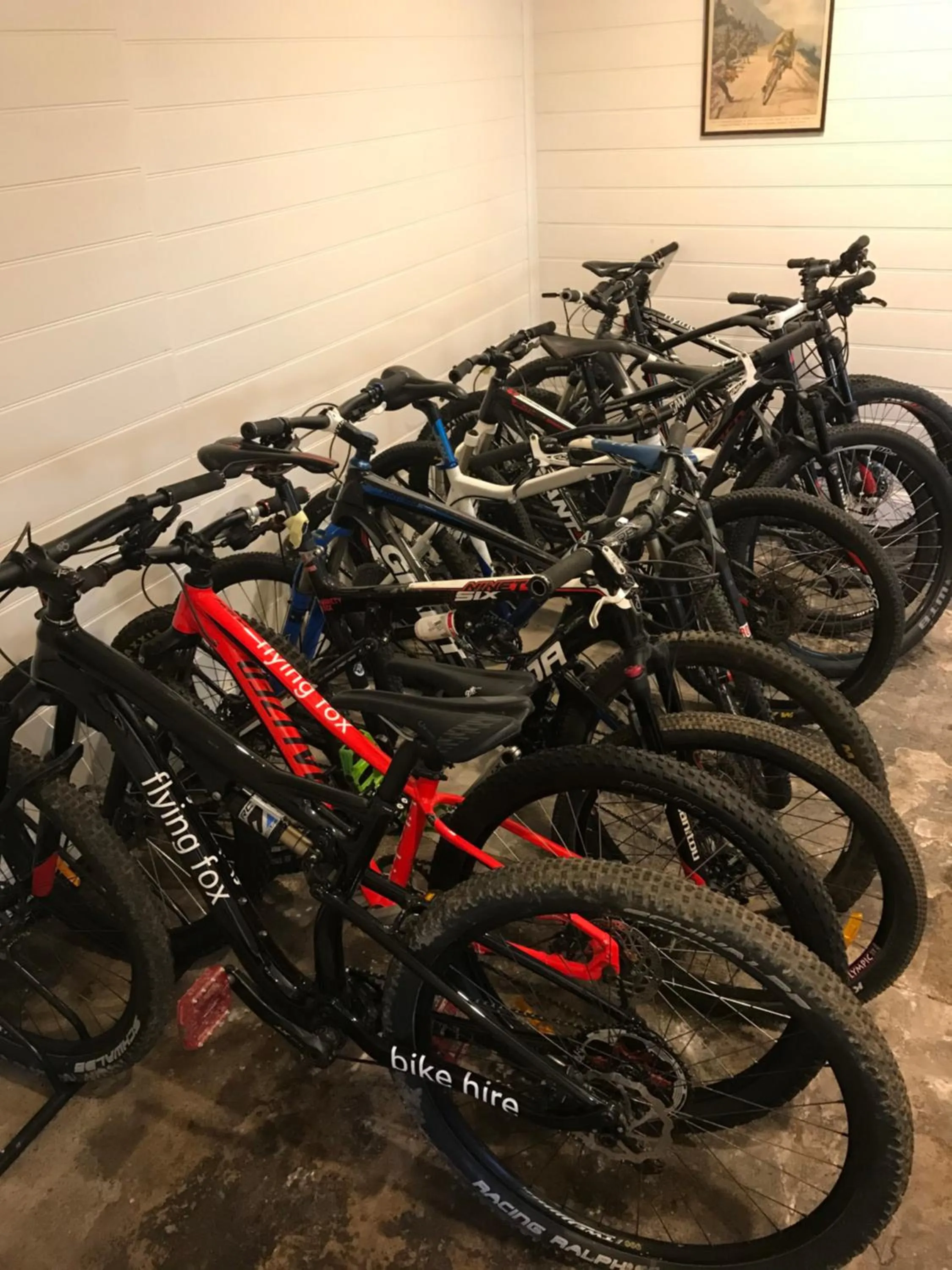 Cycling in Flying Fox Backpackers