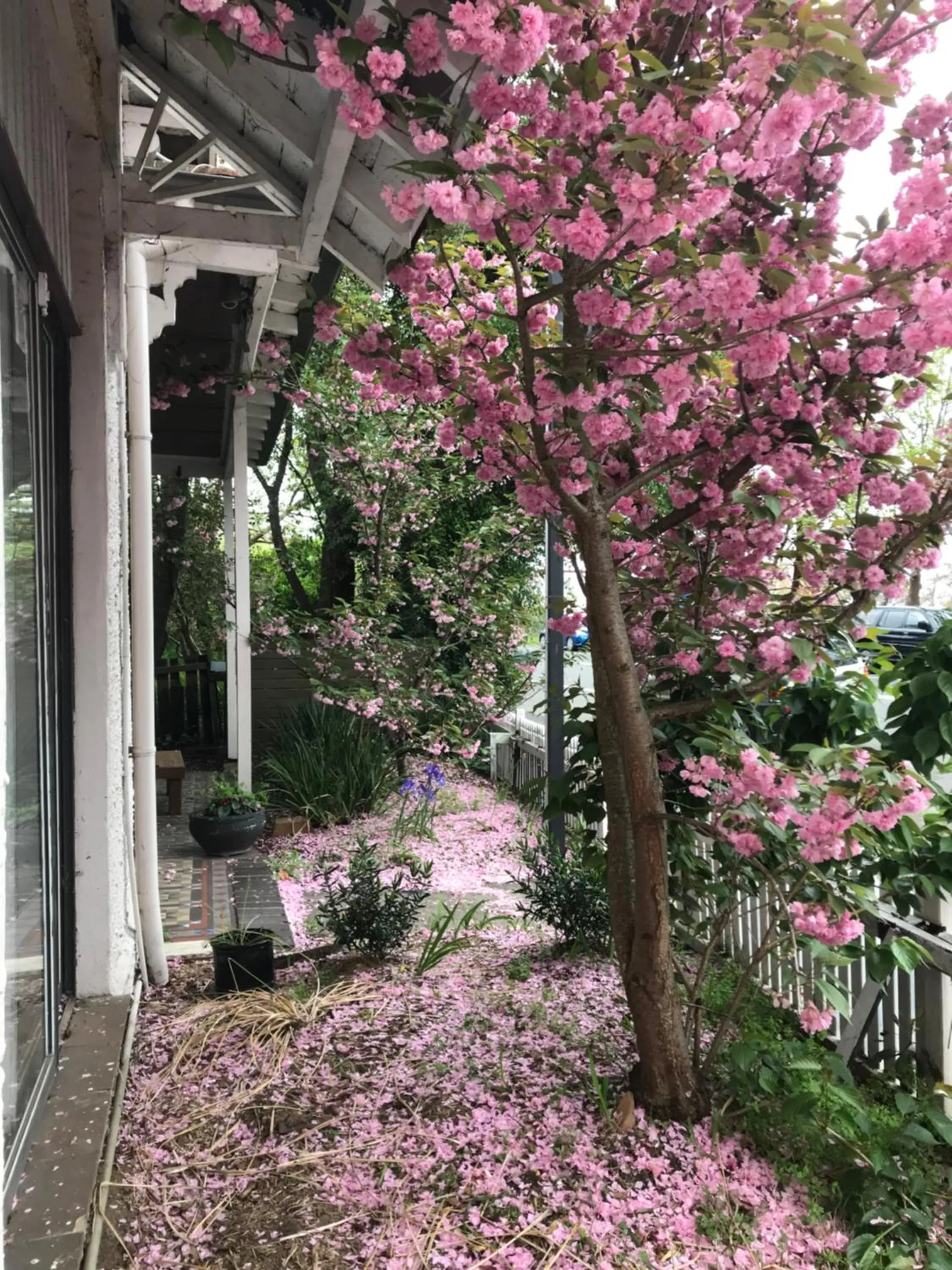 Property building in Flying Fox Backpackers