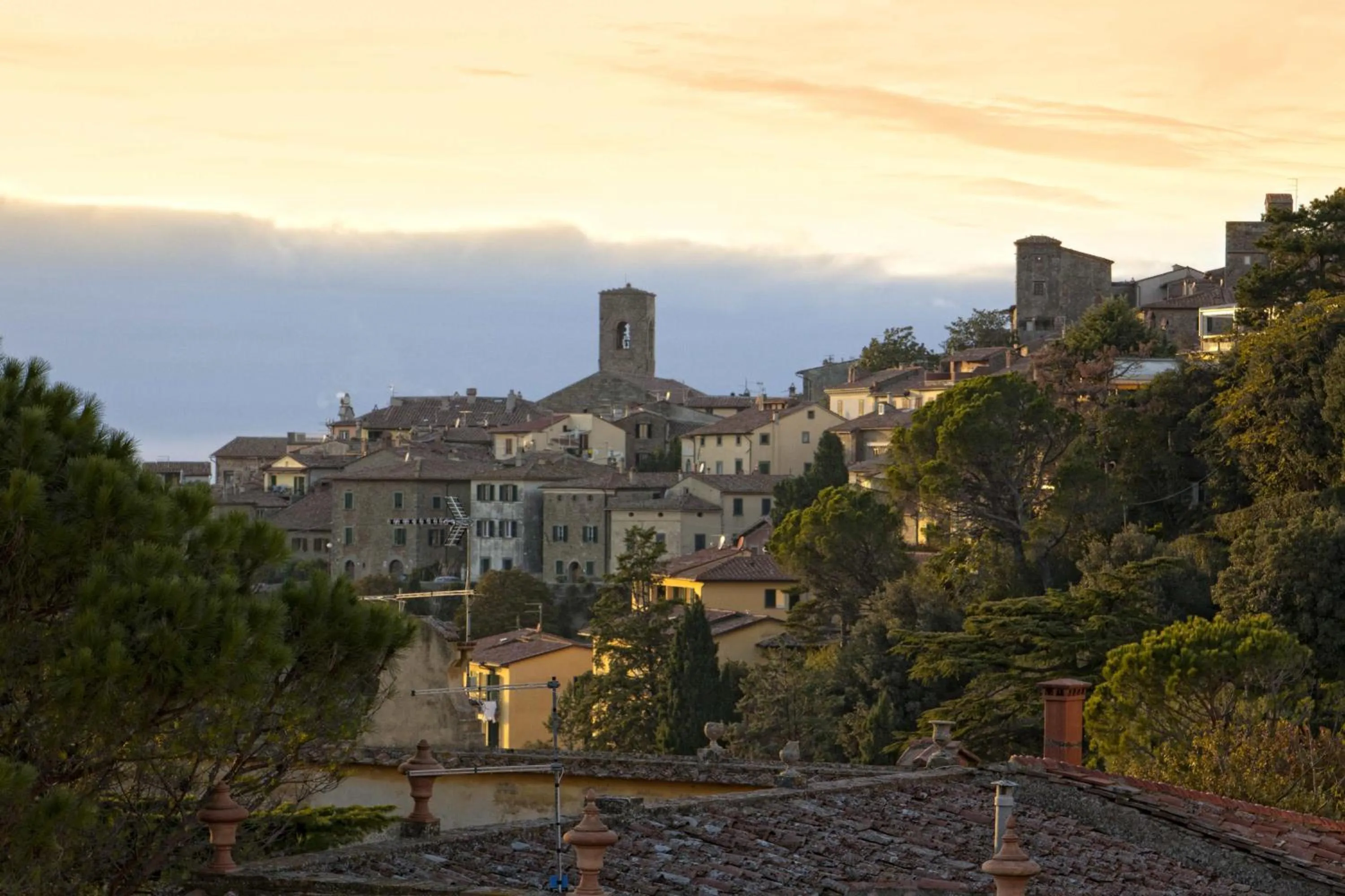 View (from property/room) in Hotel Villa Marsili
