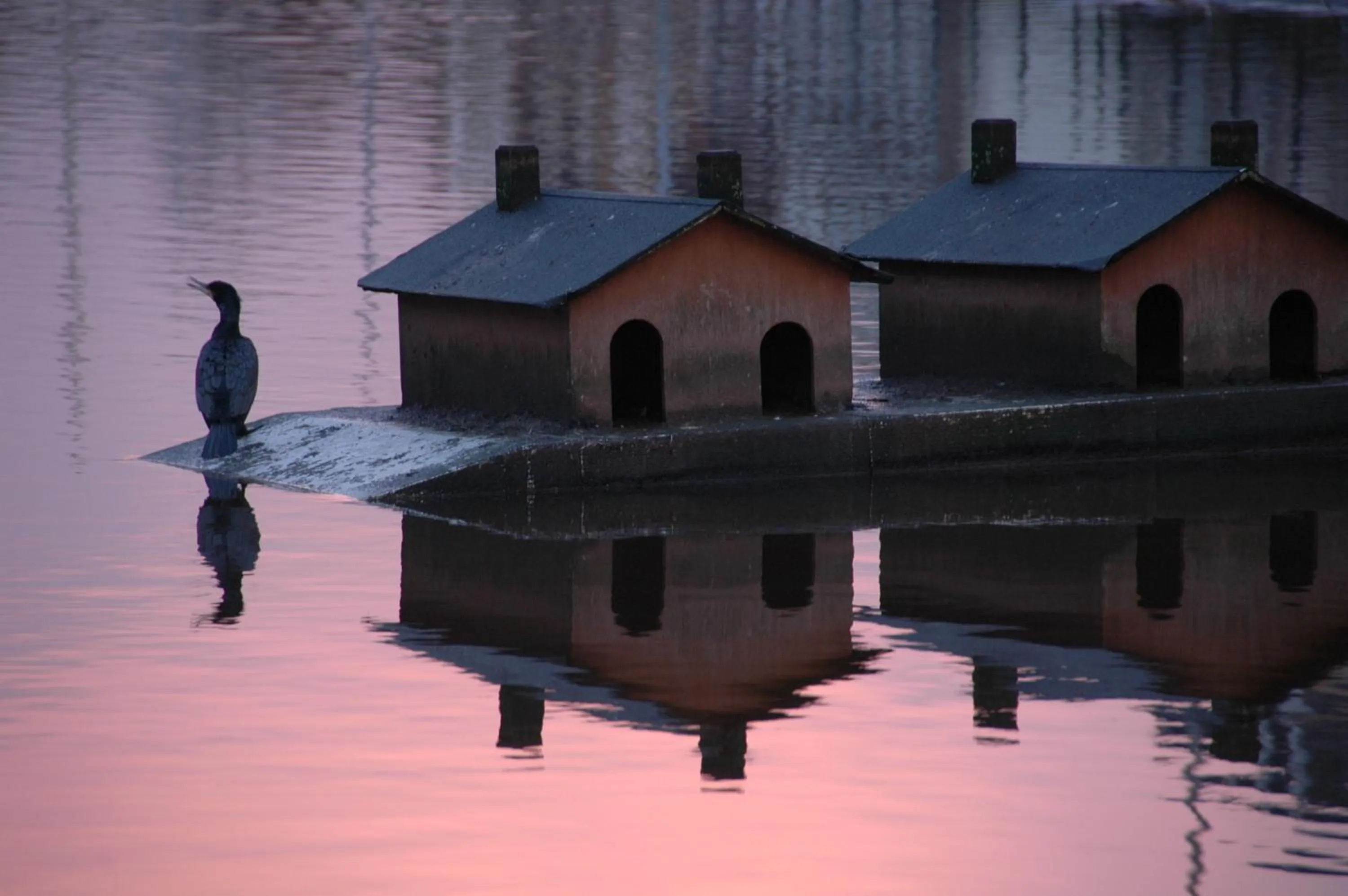 Area and facilities in Hôtel Du Port