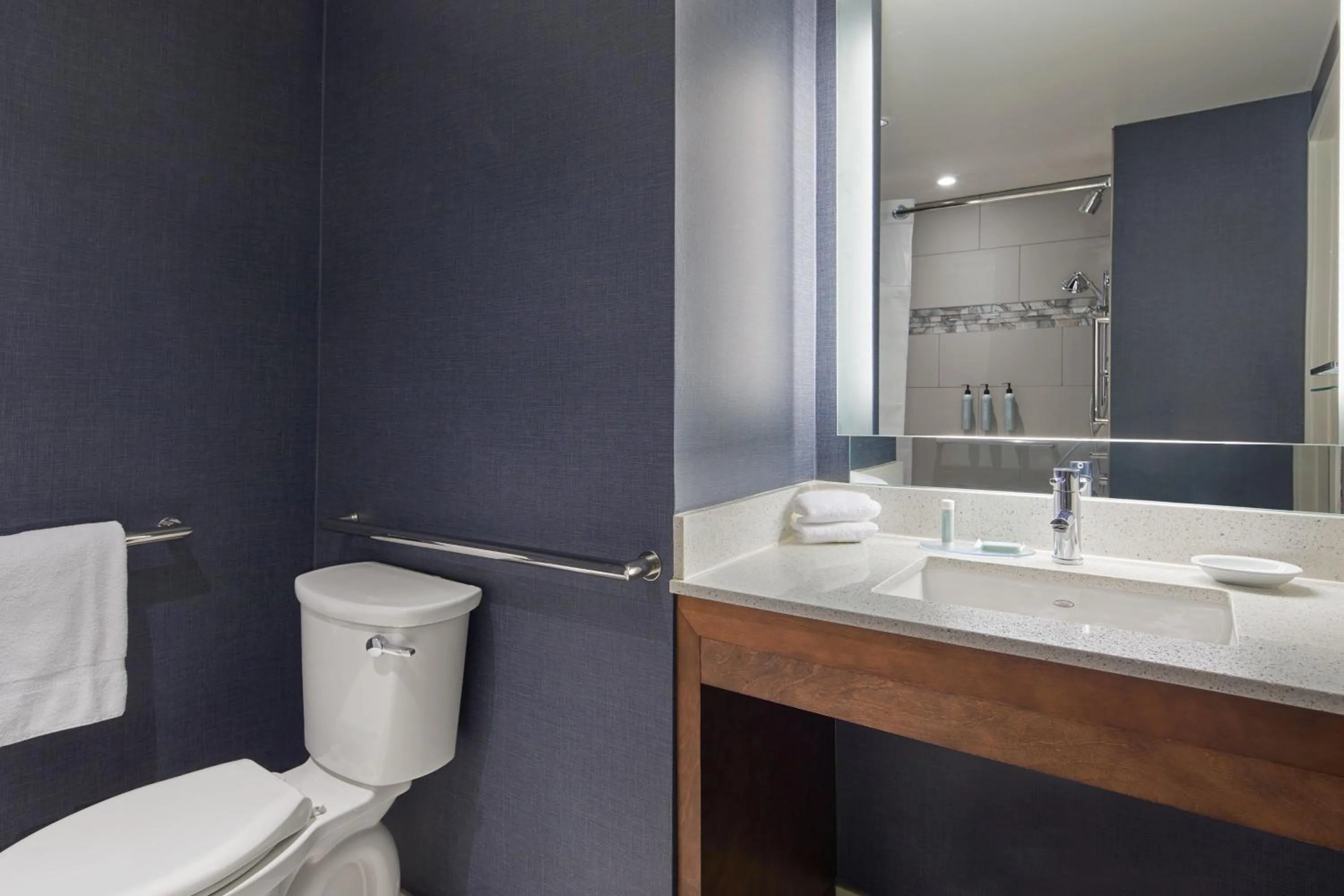 Bathroom in Residence Inn Atlanta Perimeter Center Dunwoody